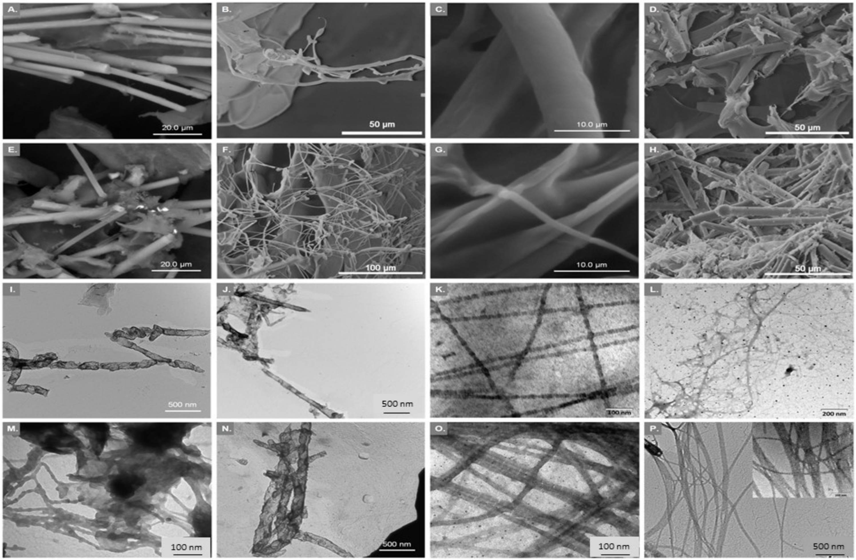 Marinedrugs 20 00170 g001 550