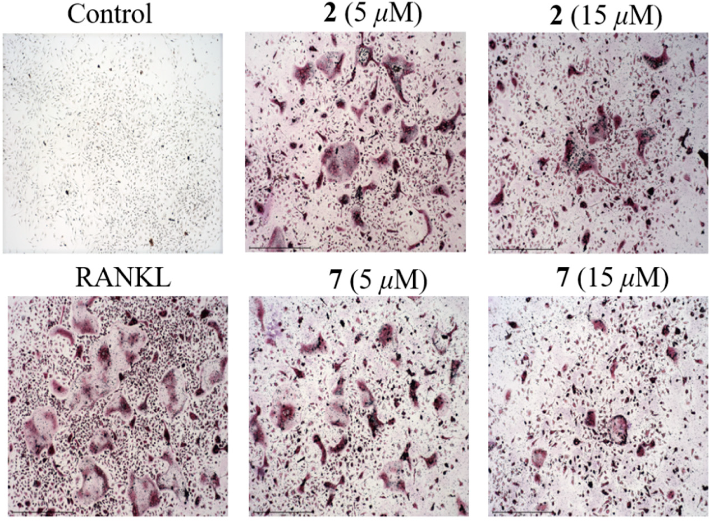 Marinedrugs 20 00178 g008 550