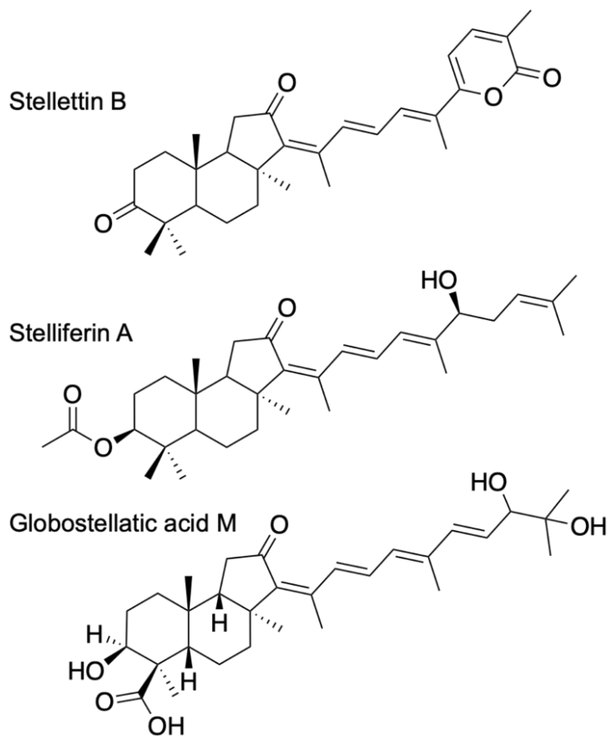 Marinedrugs 20 00190 g001 Marinedrugs 20 00190 g001