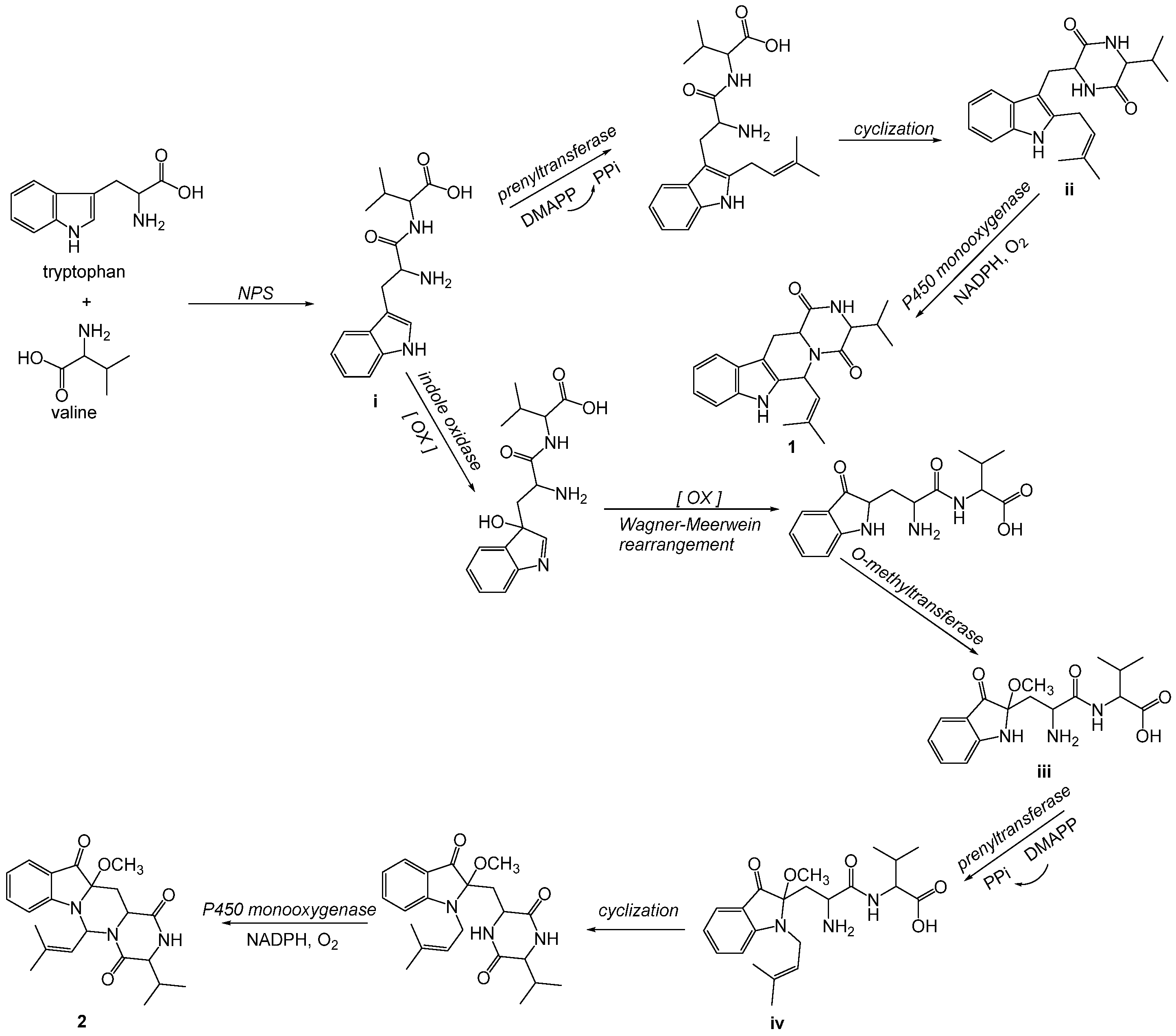 Marinedrugs 20 00191 g005