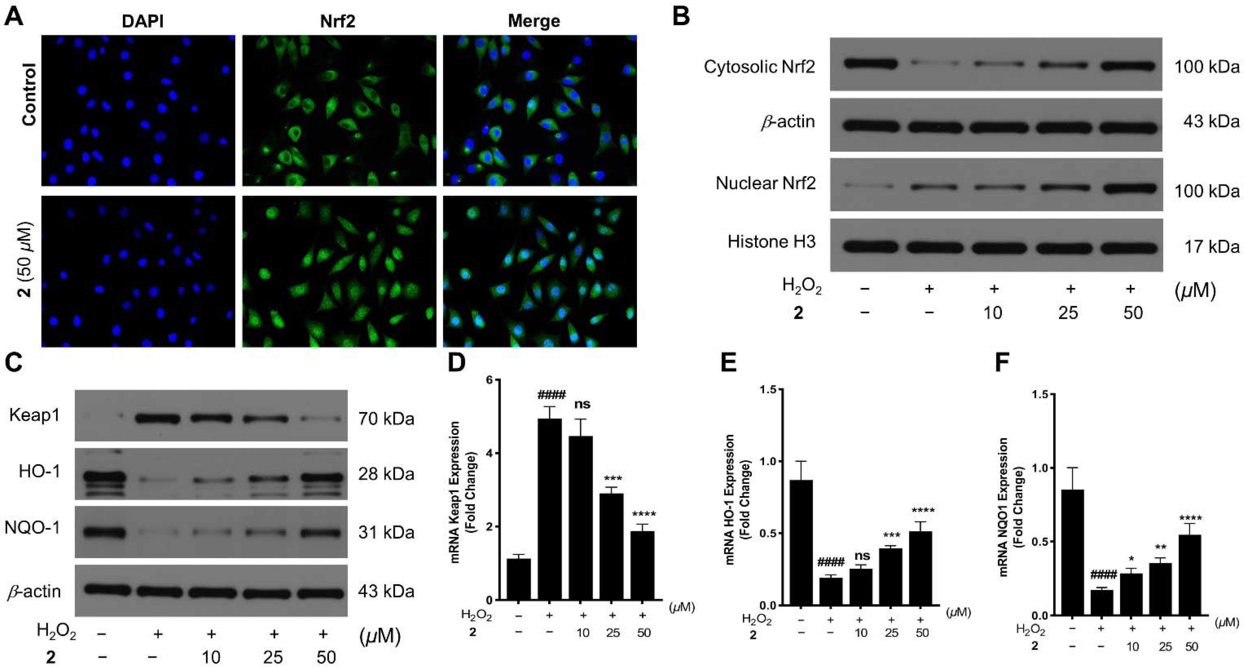 Marinedrugs 20 00191 g007