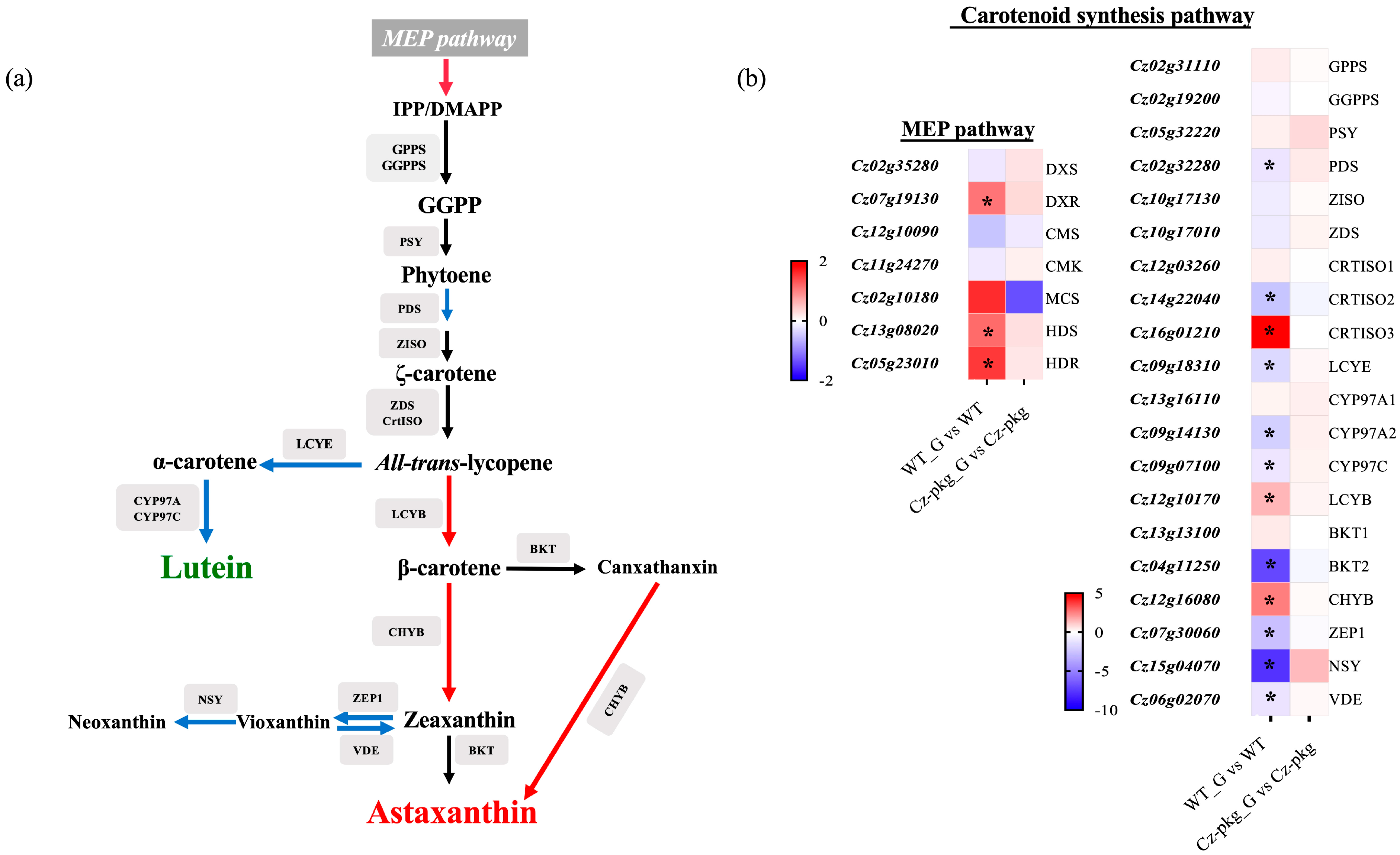 Marinedrugs 20 00194 g004 550