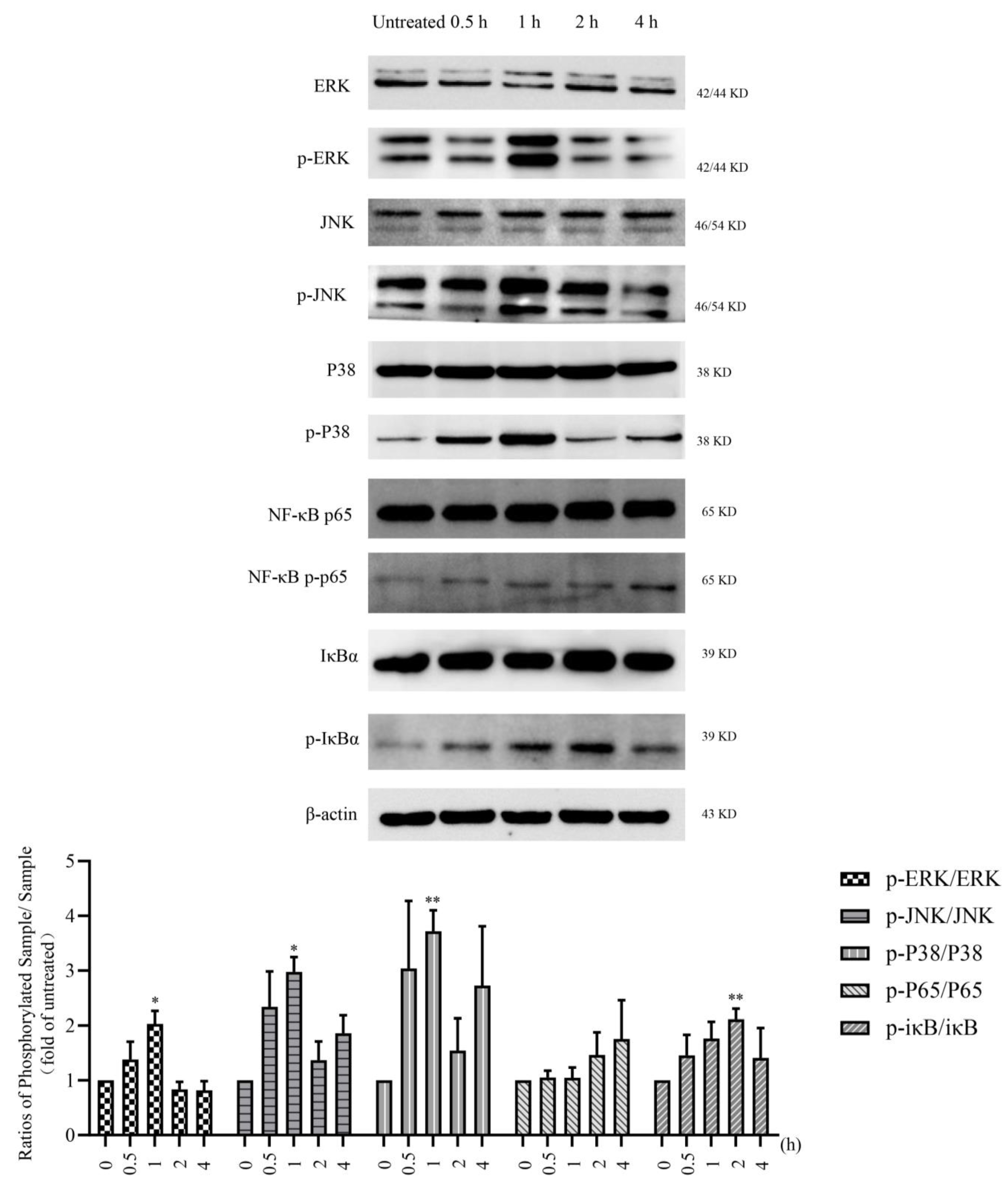 Marinedrugs 20 00197 g005 Marinedrugs 20 00197 g005
