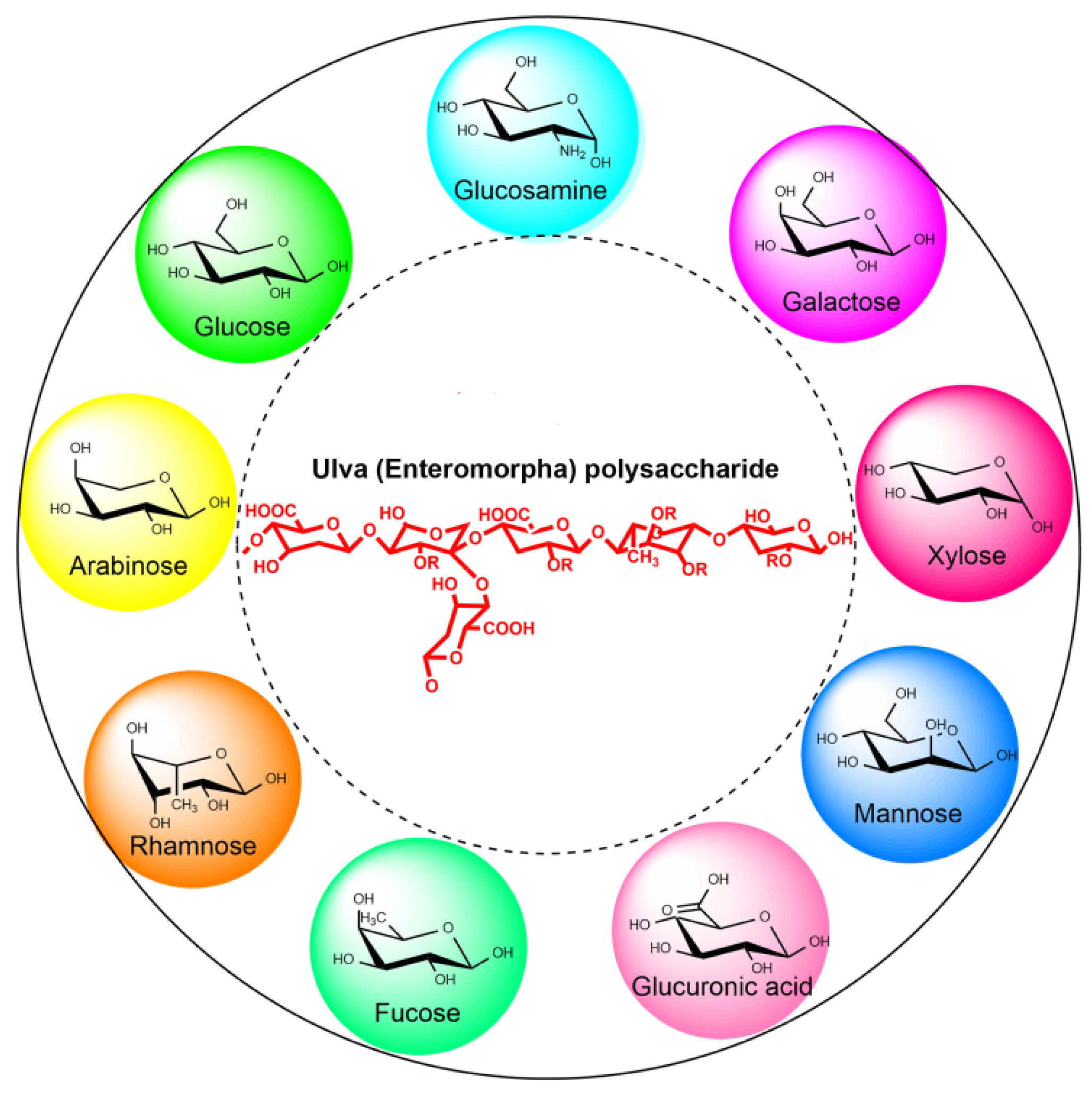 Marinedrugs 20 00202 g003