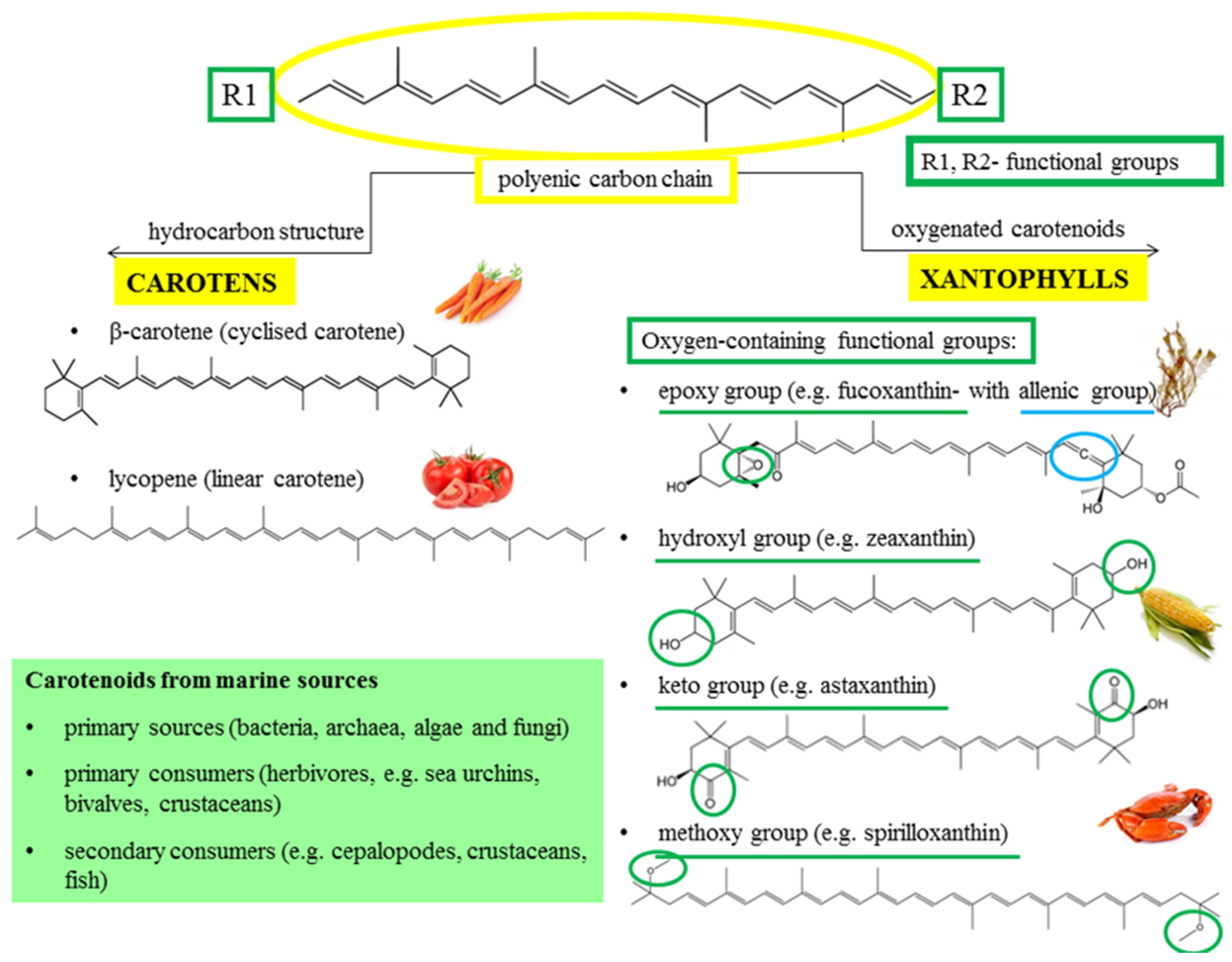 Marinedrugs 20 00206 g001 Marinedrugs 20 00206 g001