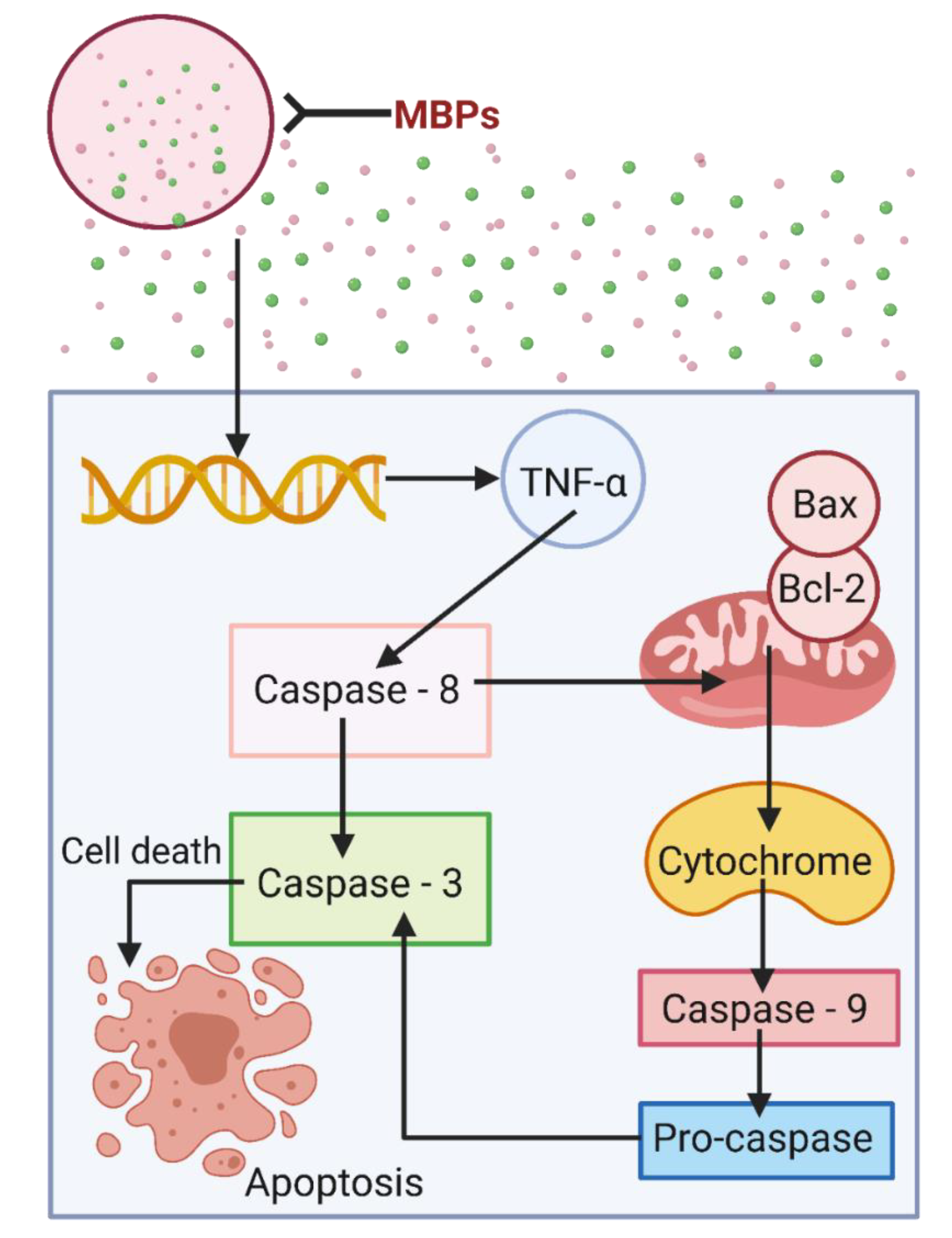 Marinedrugs 20 00208 g003 Marinedrugs 20 00208 g003