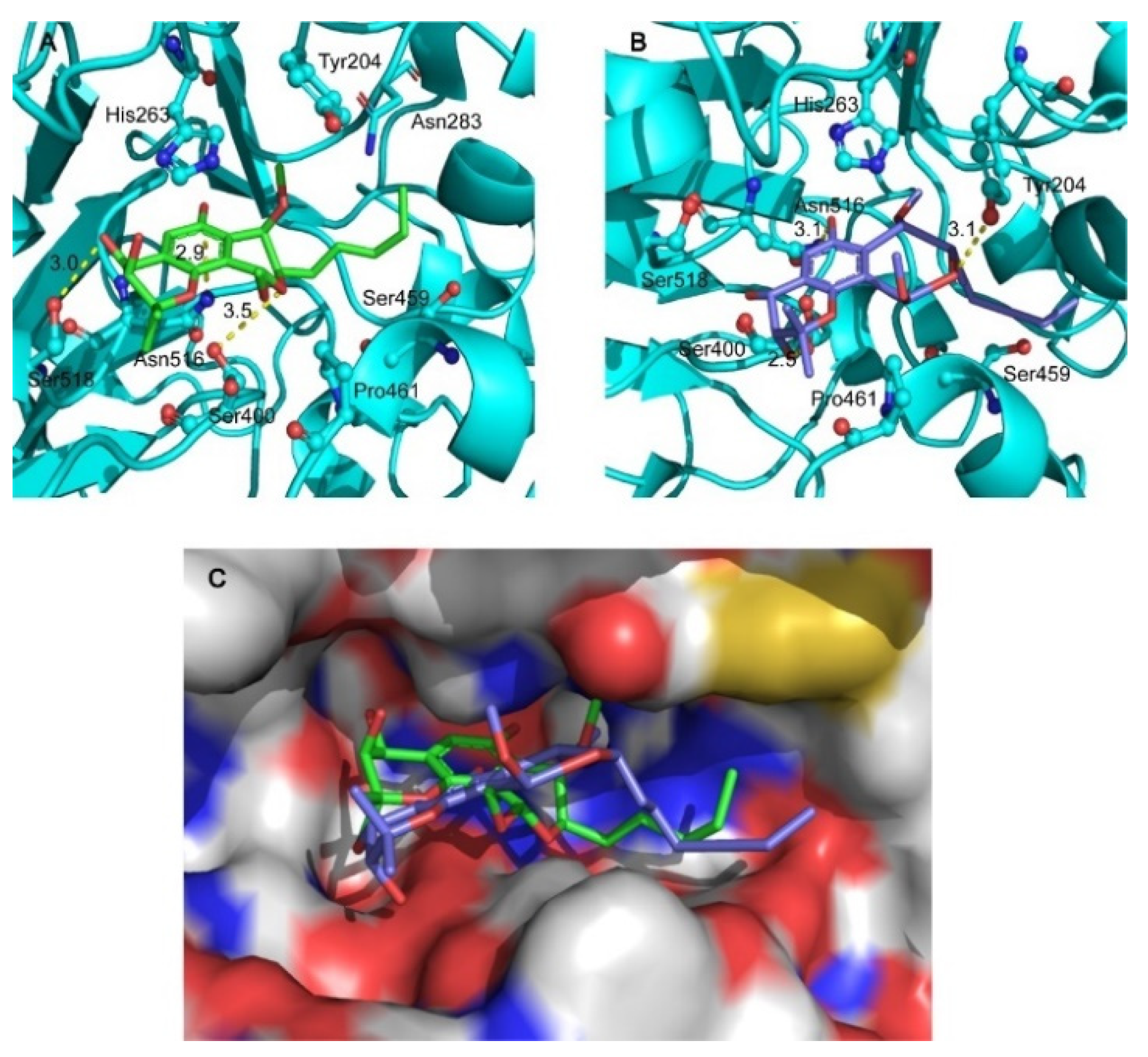 Marinedrugs 20 00211 g007