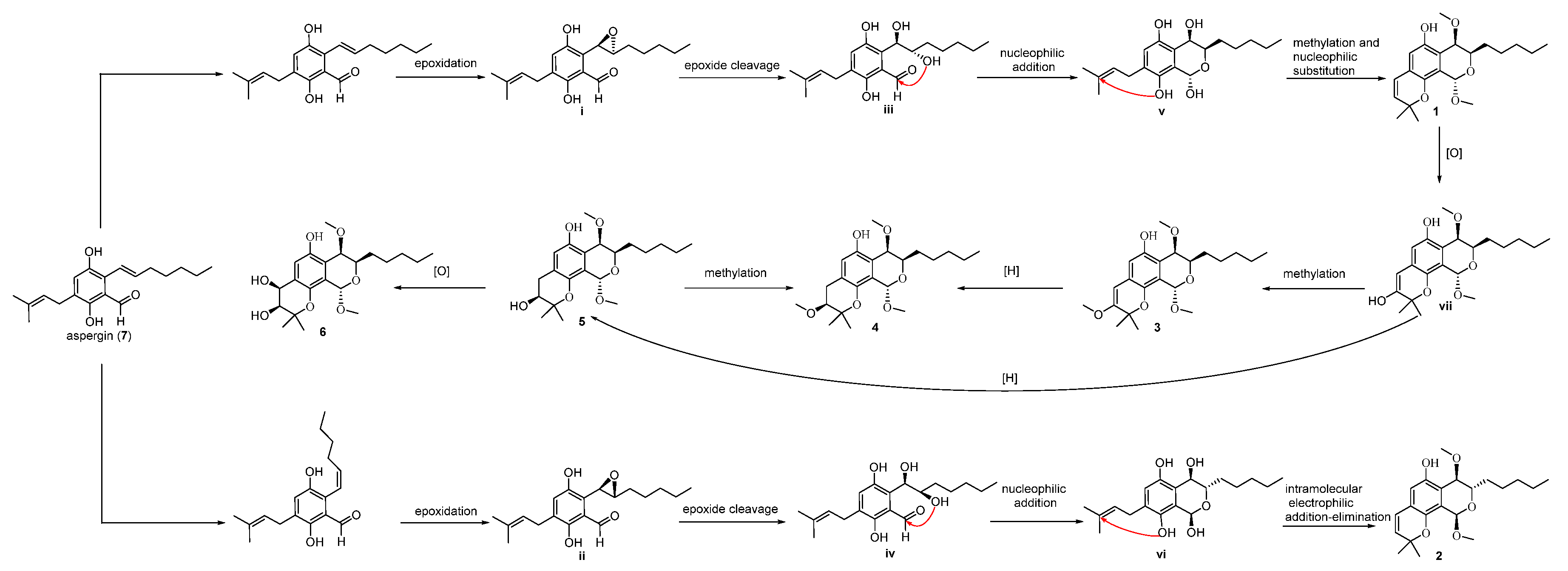 Marinedrugs 20 00211 sch001