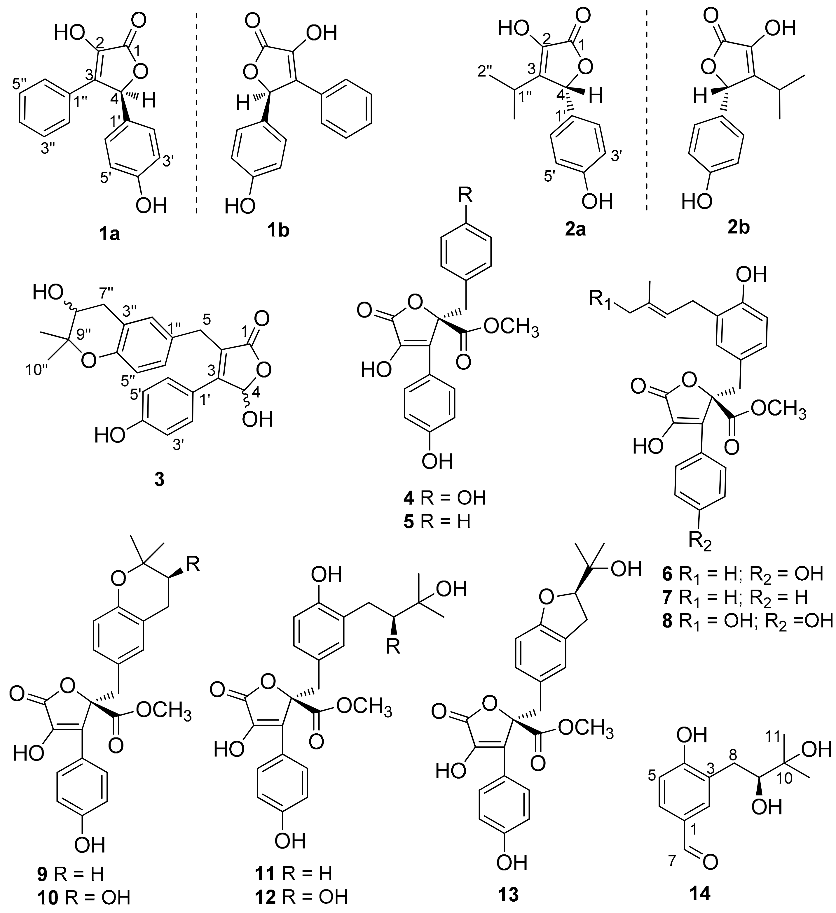 Marinedrugs 20 00212 g001