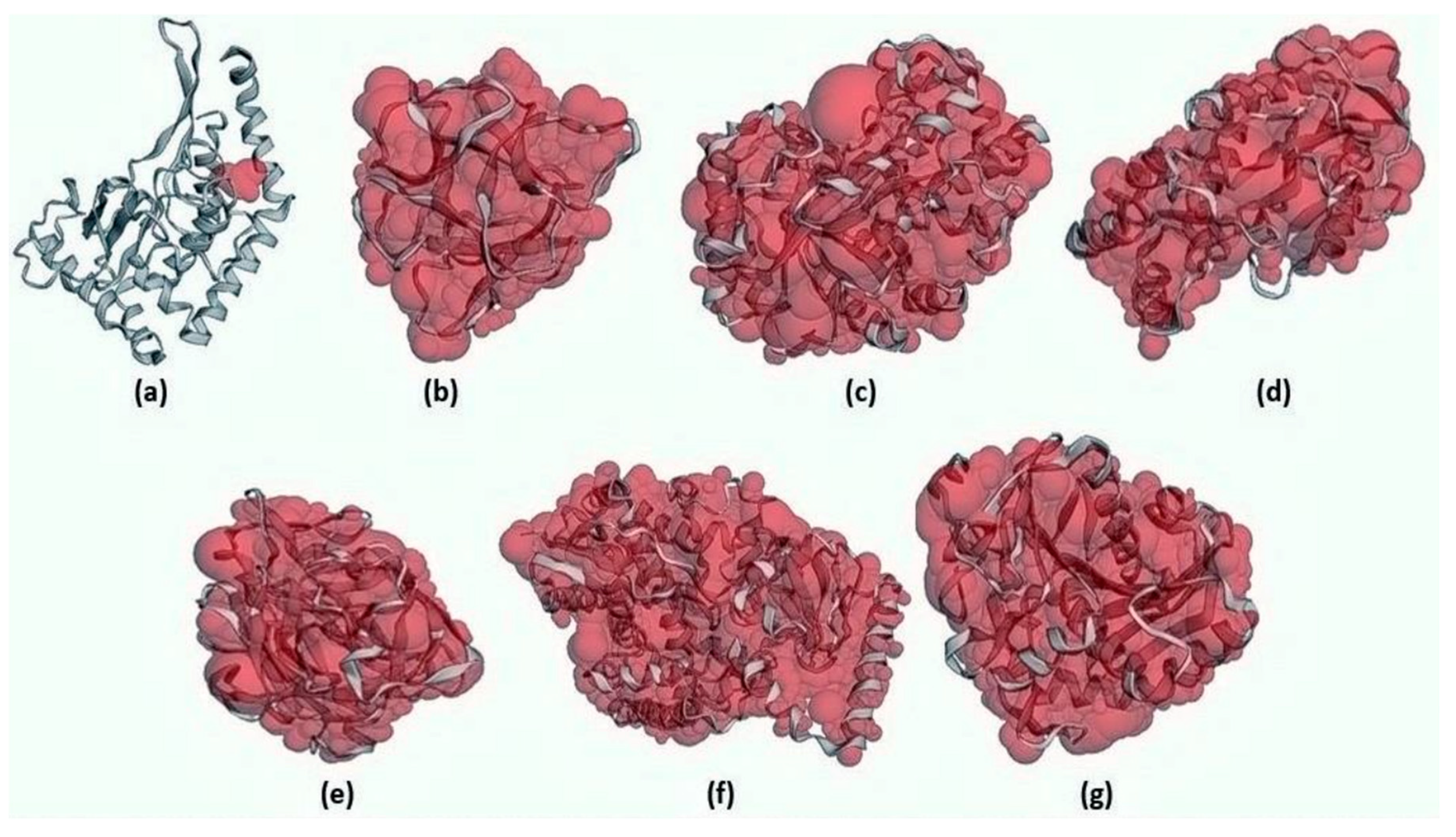 Marinedrugs 20 00215 g006