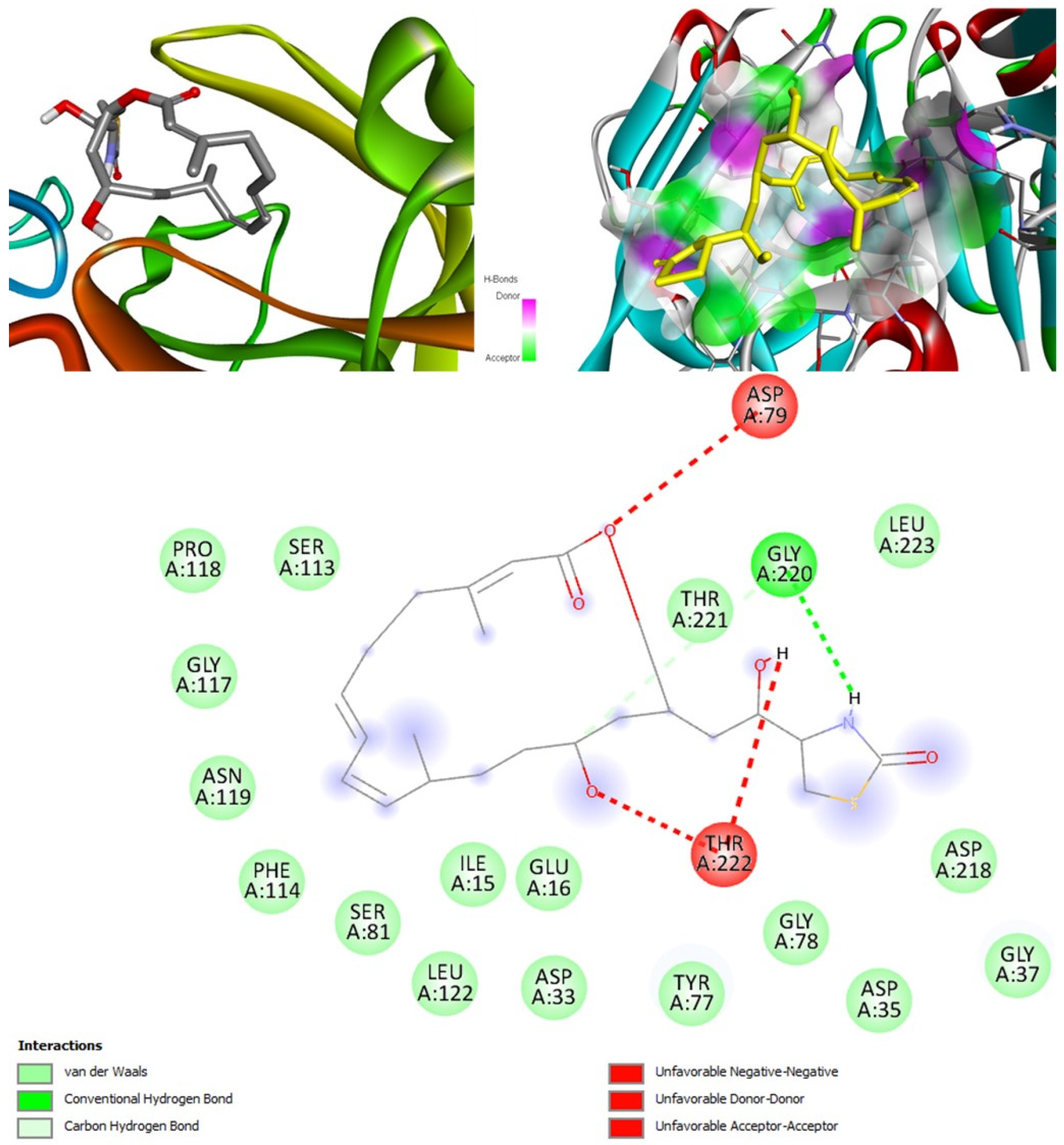 Marinedrugs 20 00215 g012