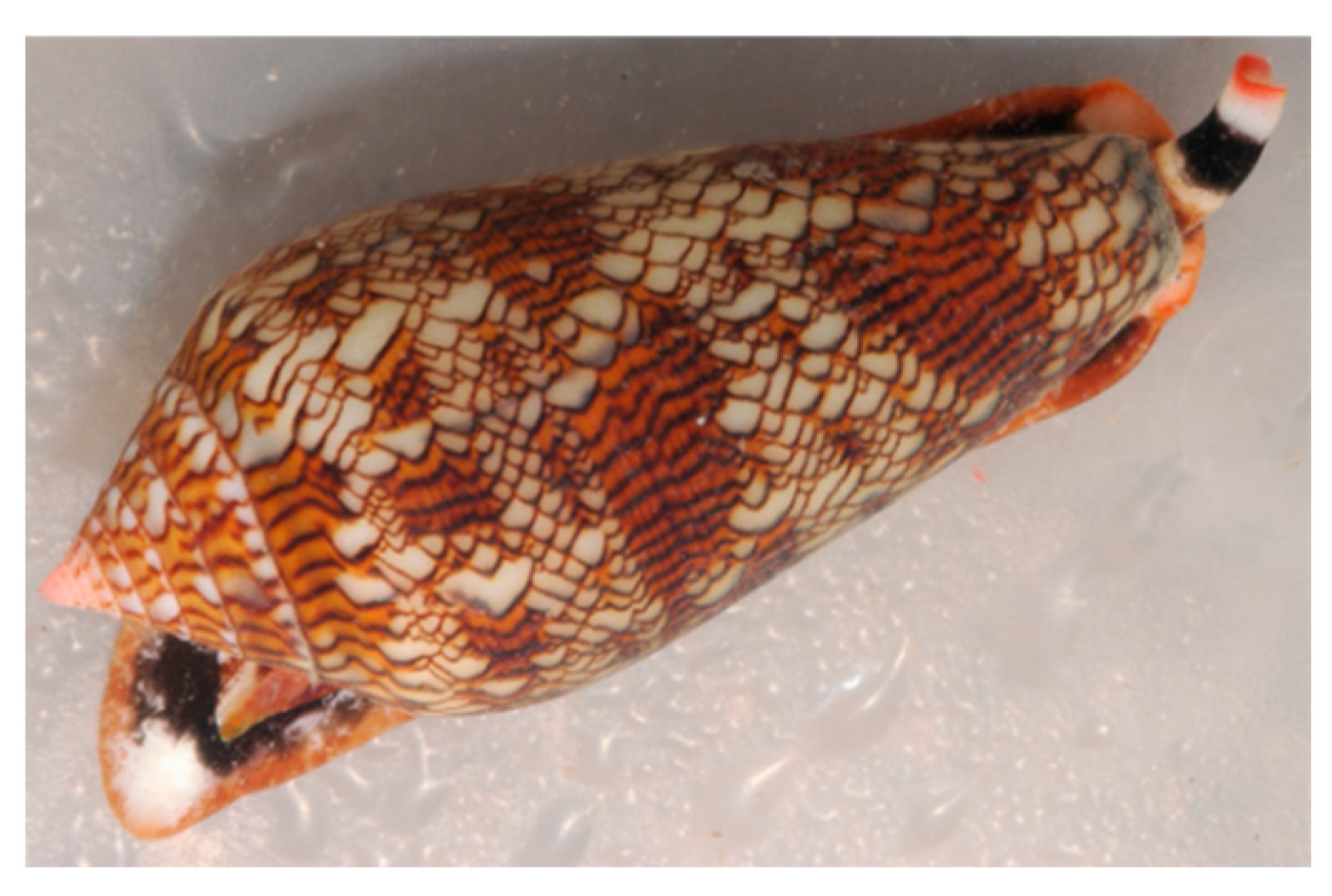 Marinedrugs 20 00219 g012 Marinedrugs 20 00219 g012