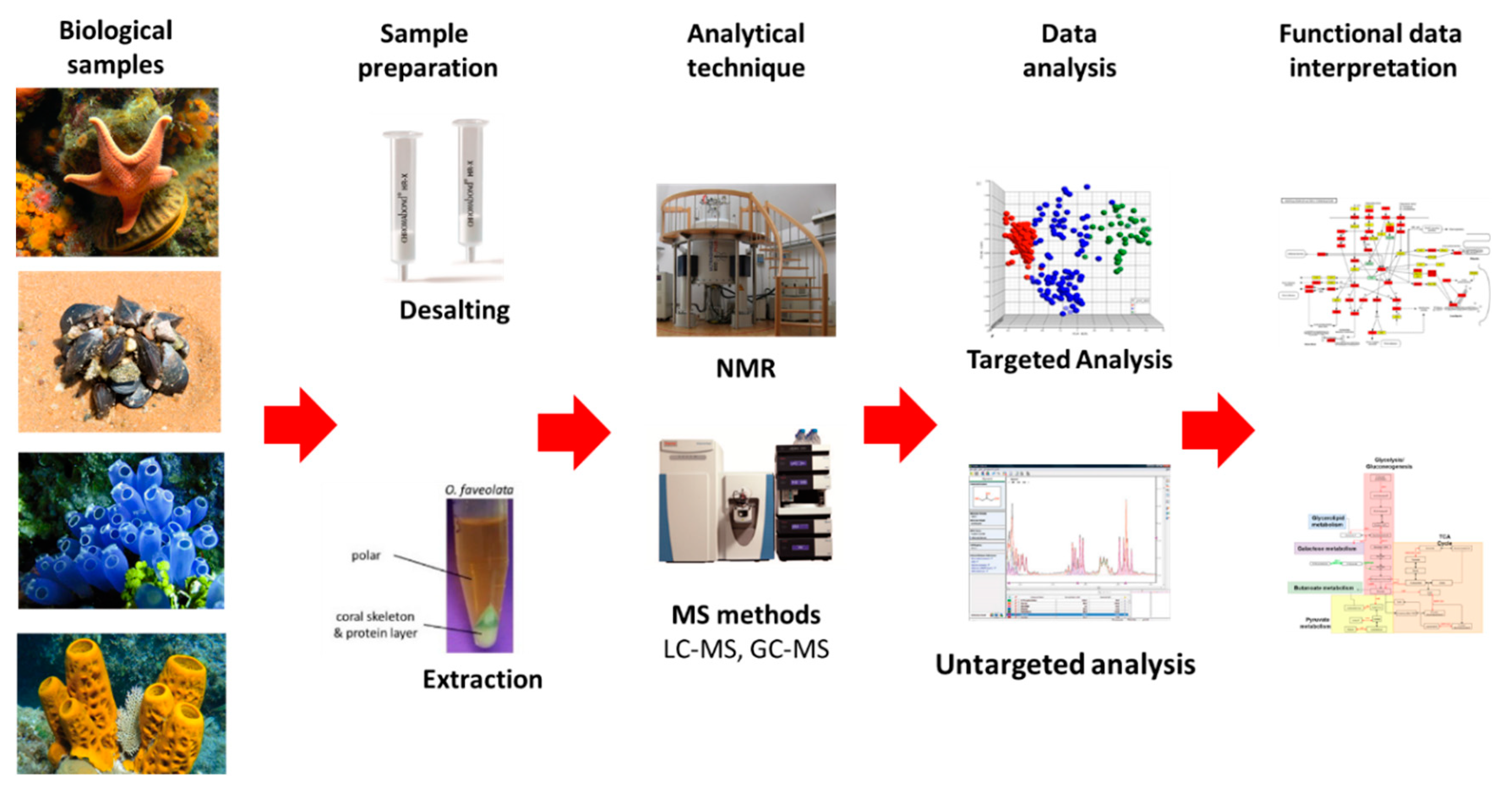 Marinedrugs 20 00219 g019 Marinedrugs 20 00219 g019