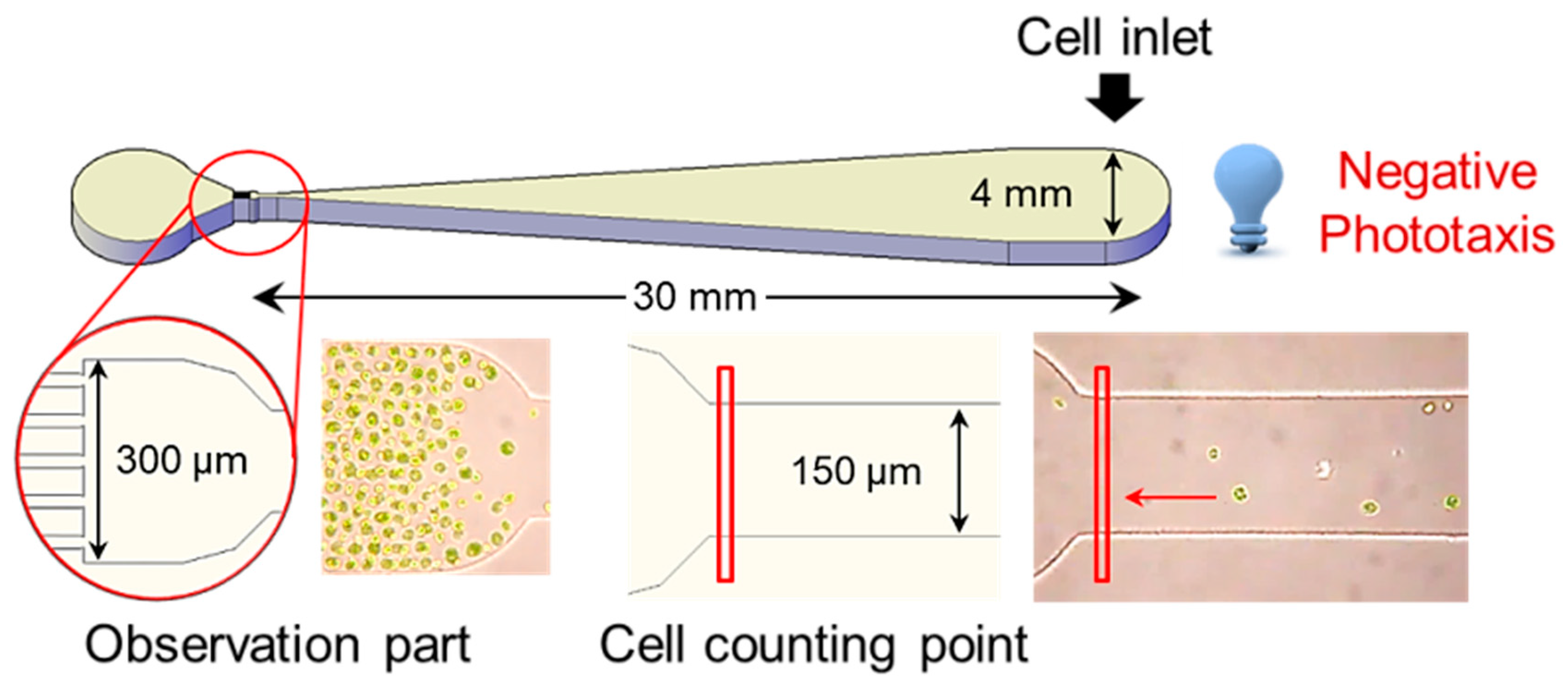 Marinedrugs 20 00220 g002 550