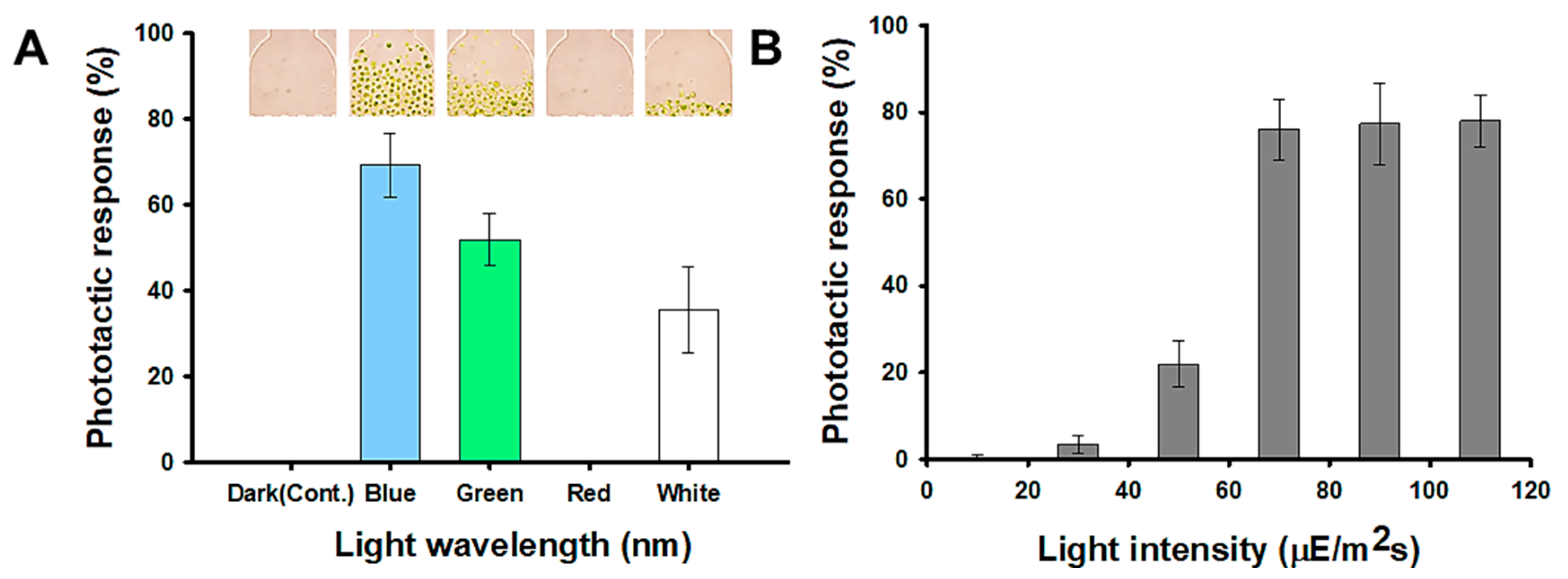 Marinedrugs 20 00220 g003 550