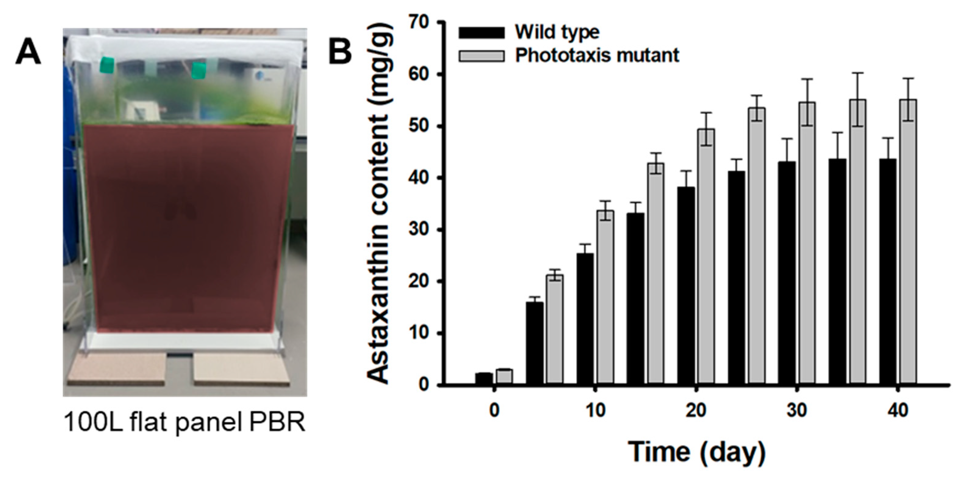 Marinedrugs 20 00220 g006 550
