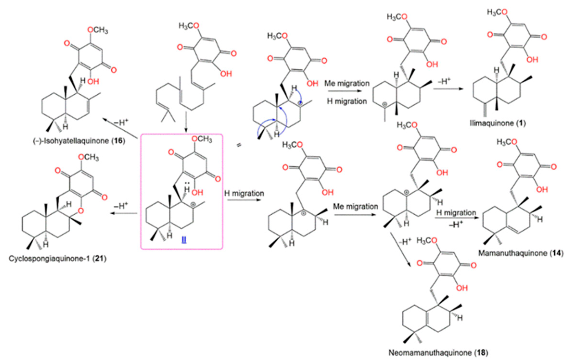 Marinedrugs 20 00221 sch003