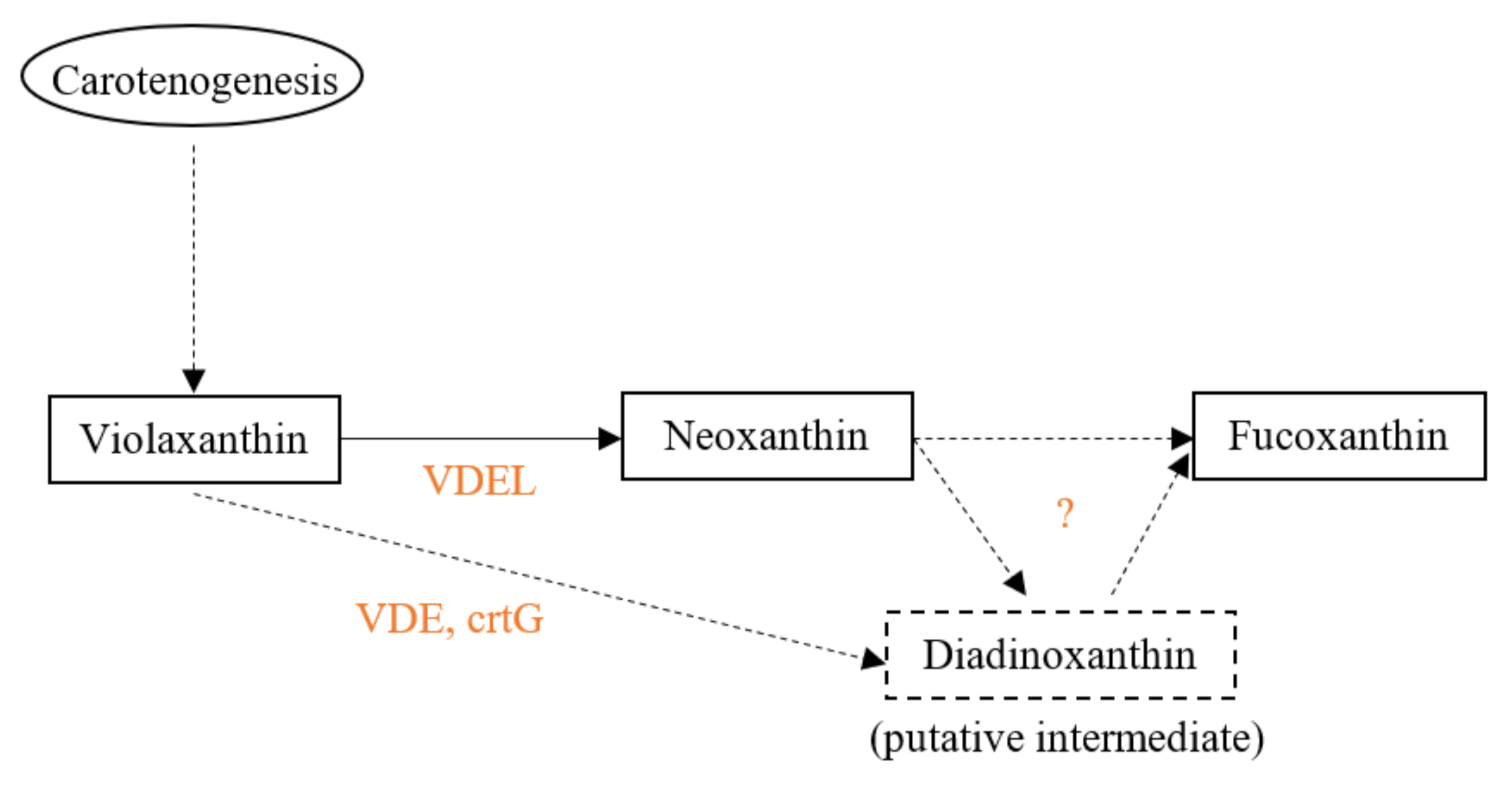 Marinedrugs 20 00222 g003