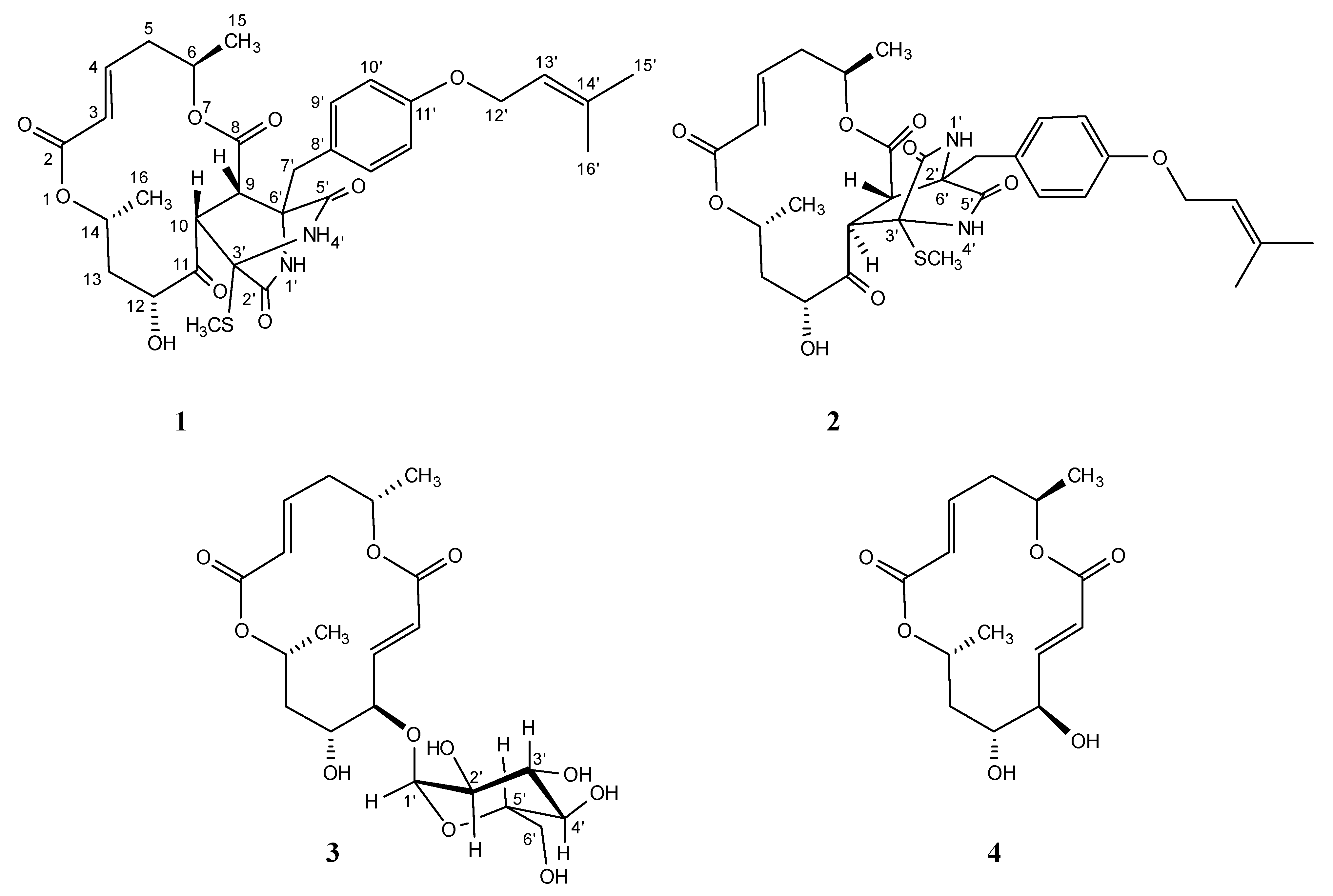 Marinedrugs 20 00226 g001