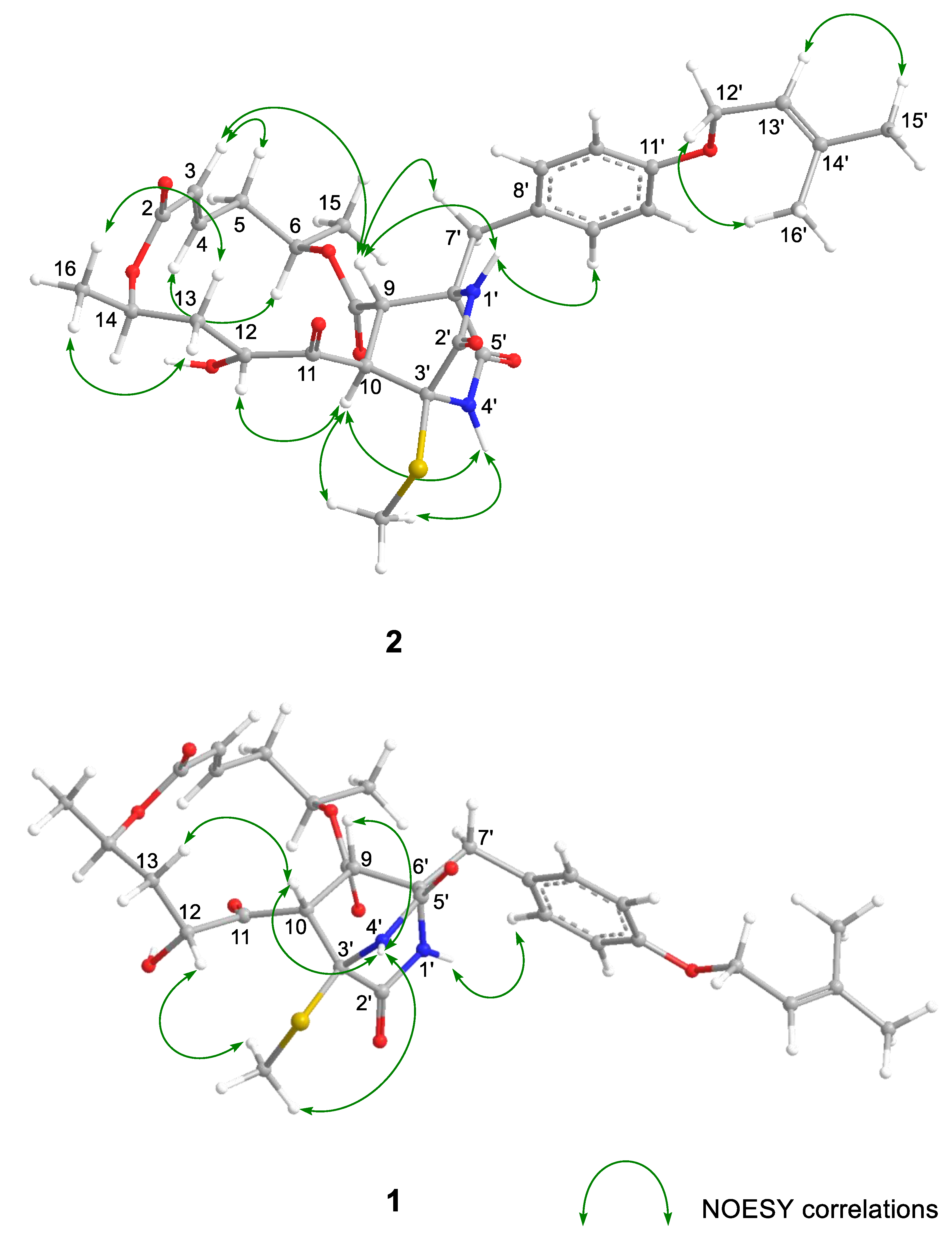 Marinedrugs 20 00226 g002