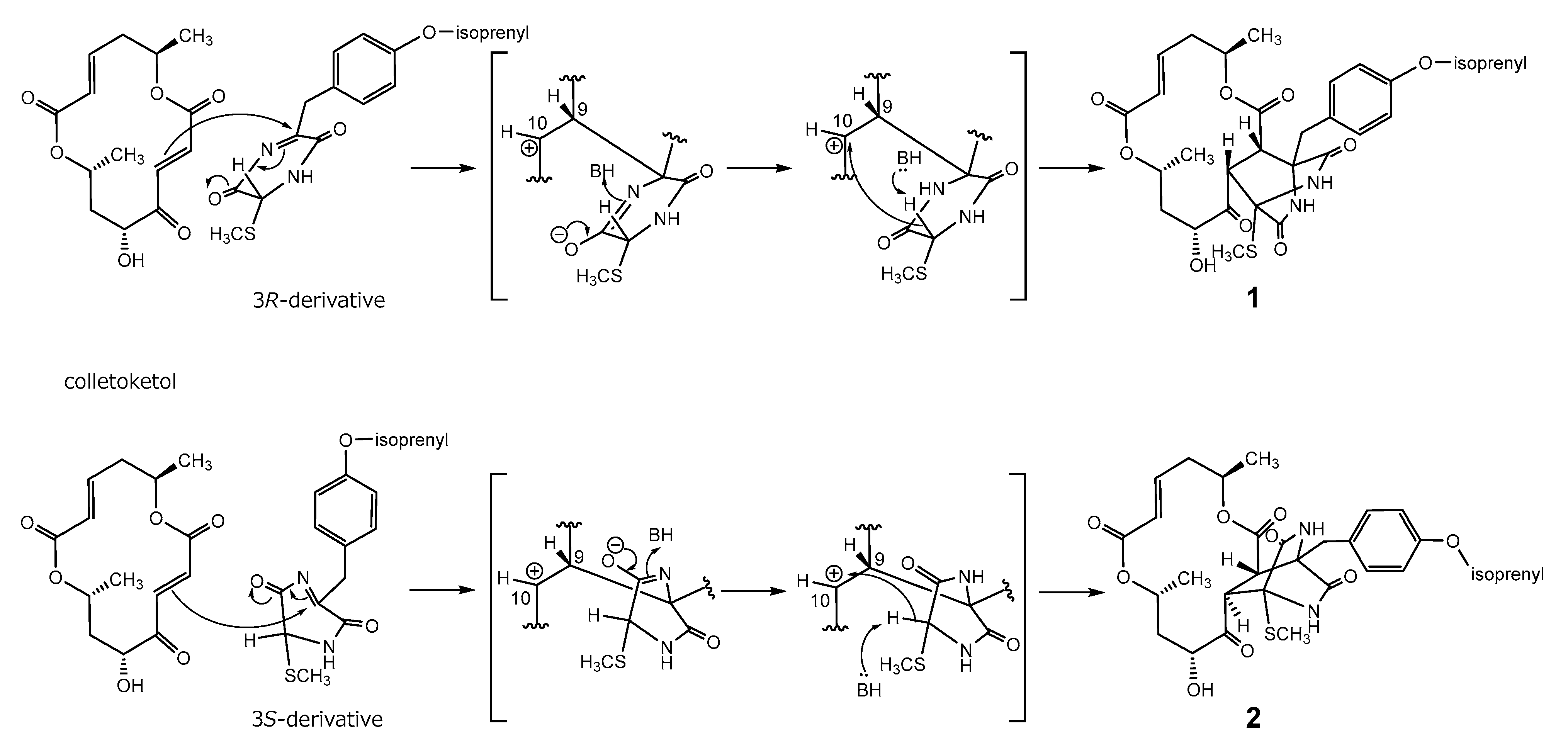 Marinedrugs 20 00226 sch001
