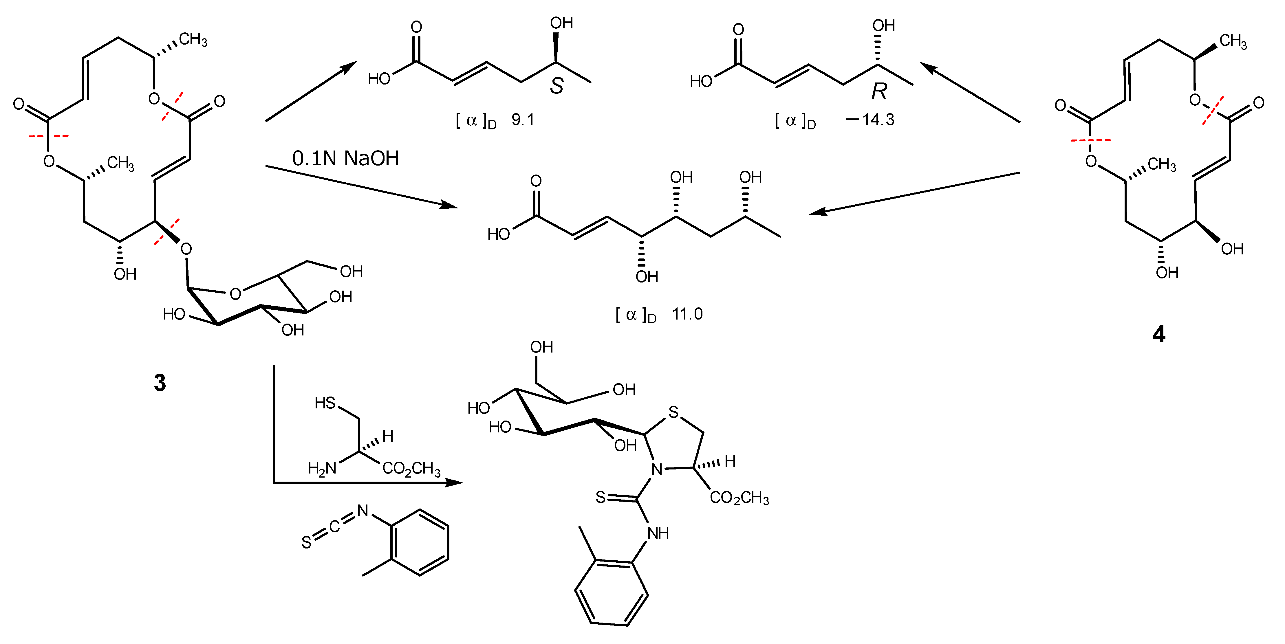 Marinedrugs 20 00226 sch002
