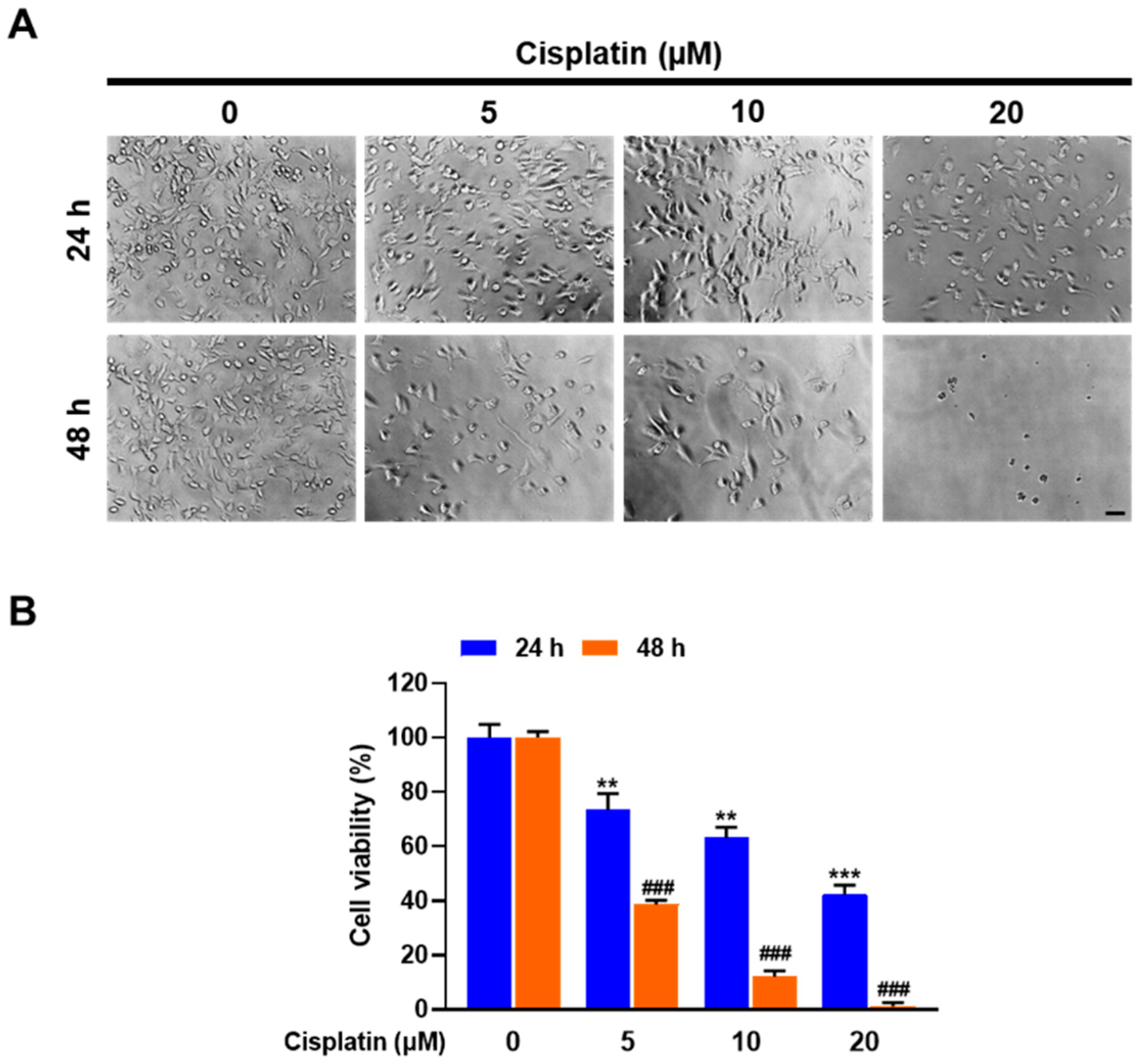 Marinedrugs 20 00232 g002 Marinedrugs 20 00232 g002