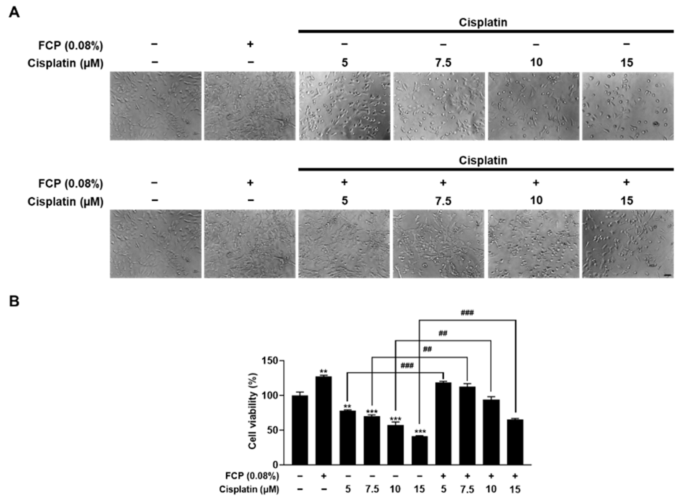 Marinedrugs 20 00232 g003 Marinedrugs 20 00232 g003