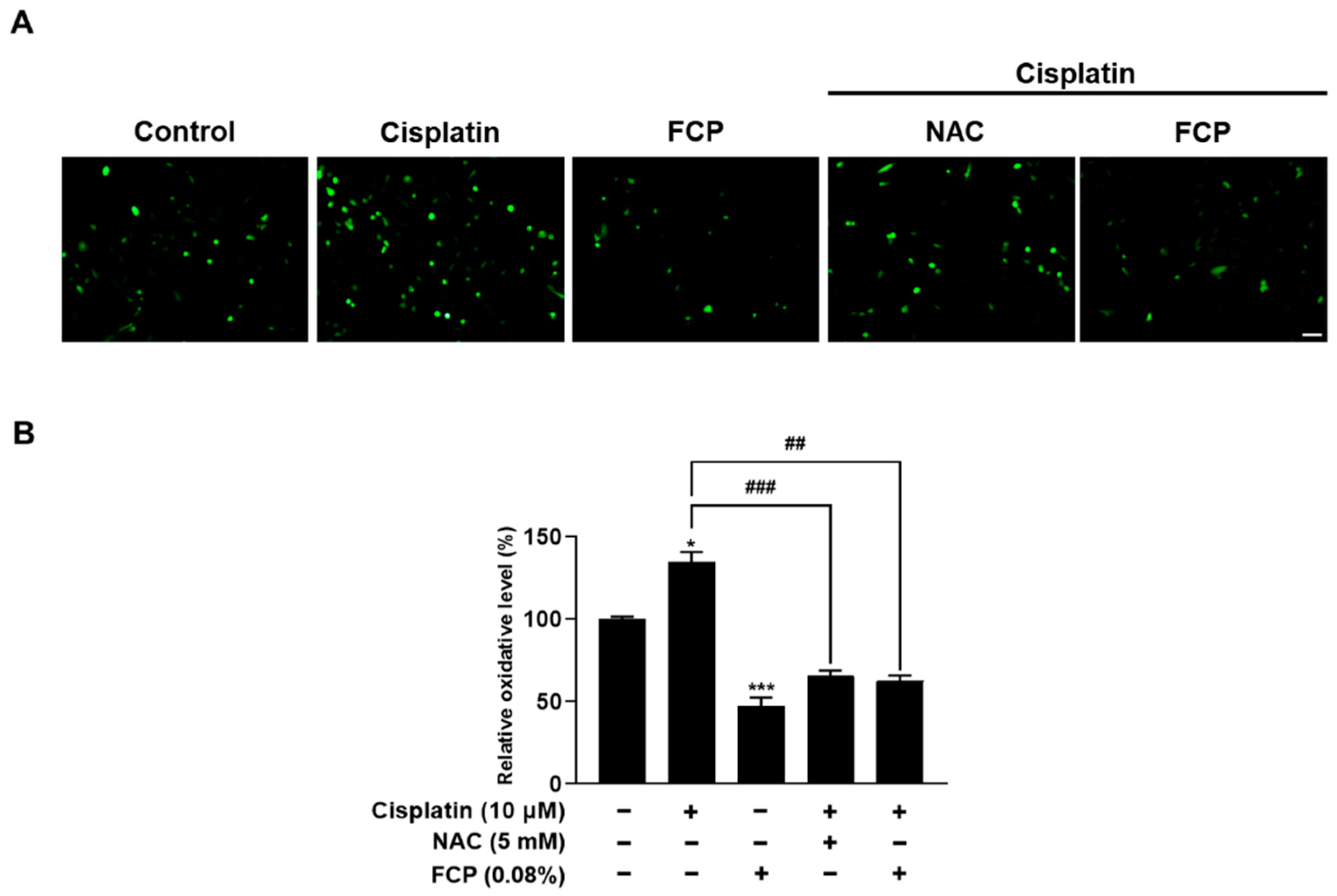 Marinedrugs 20 00232 g005 Marinedrugs 20 00232 g005