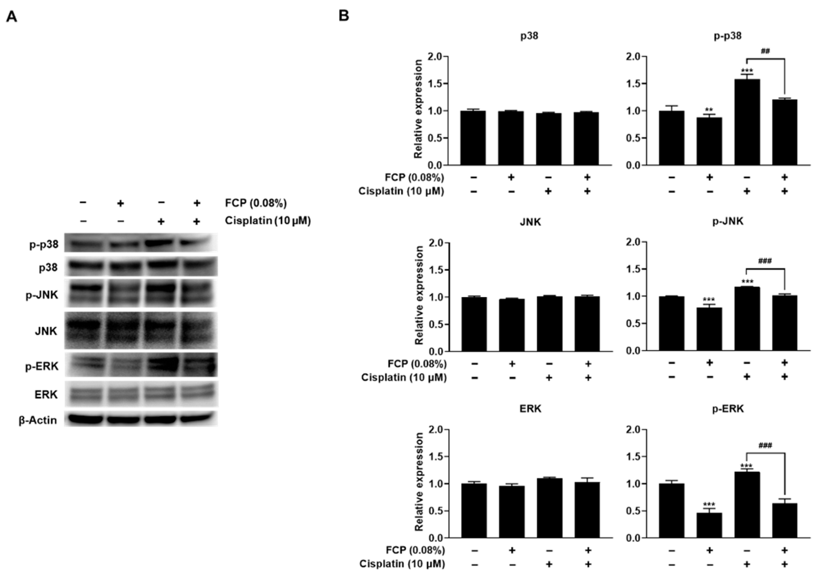 Marinedrugs 20 00232 g006 Marinedrugs 20 00232 g006