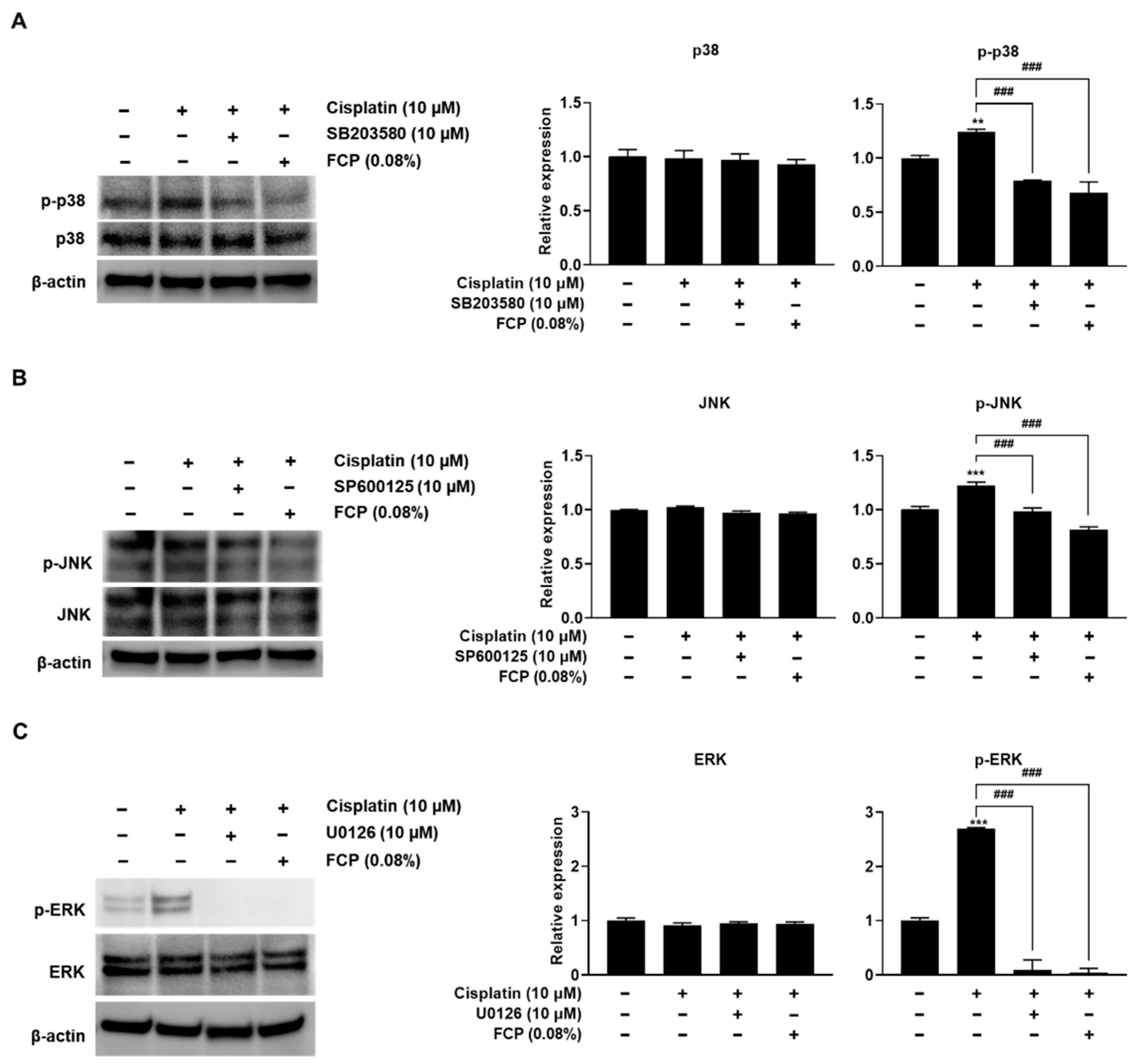 Marinedrugs 20 00232 g008 Marinedrugs 20 00232 g008