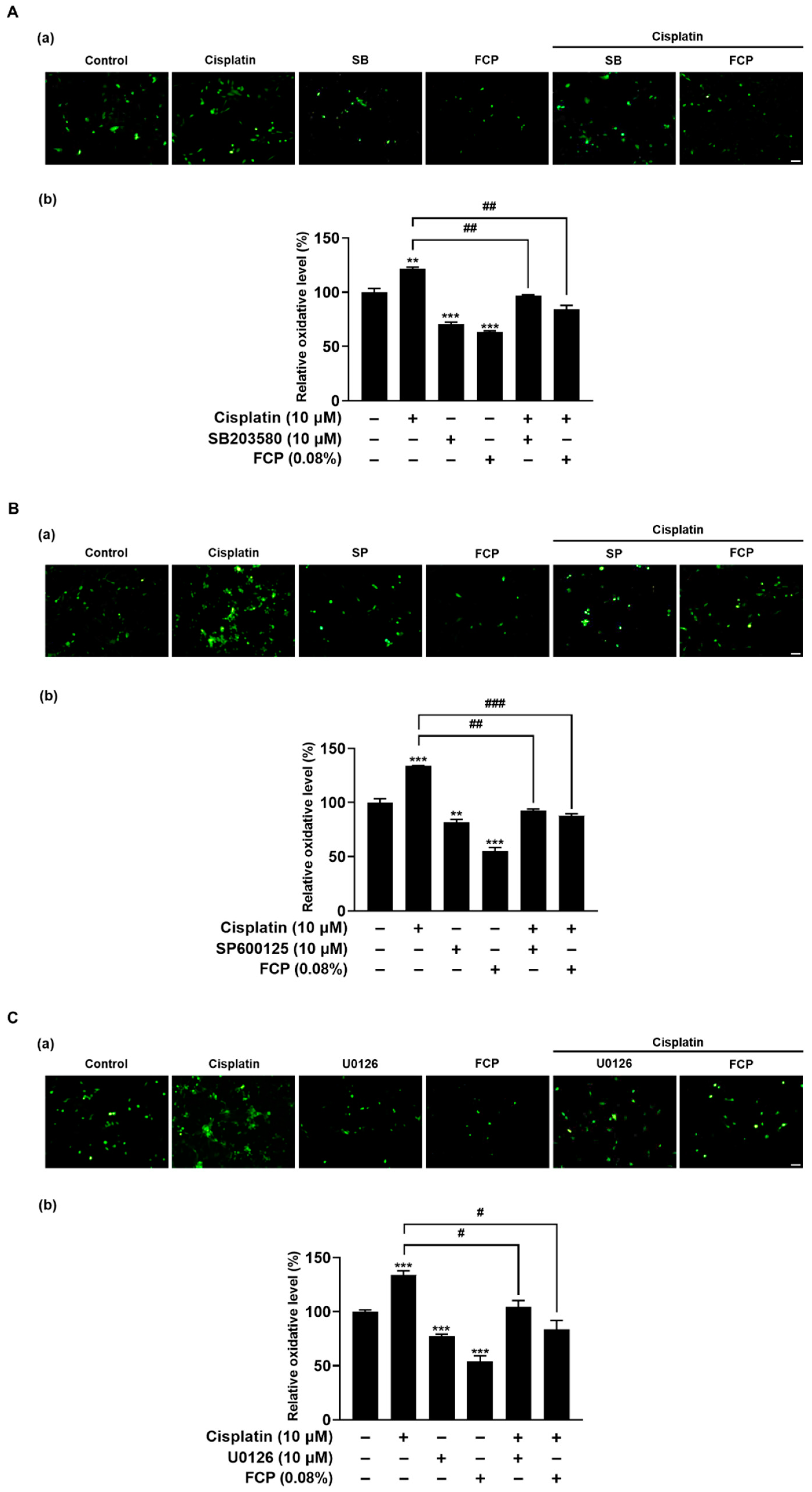 Marinedrugs 20 00232 g009 Marinedrugs 20 00232 g009