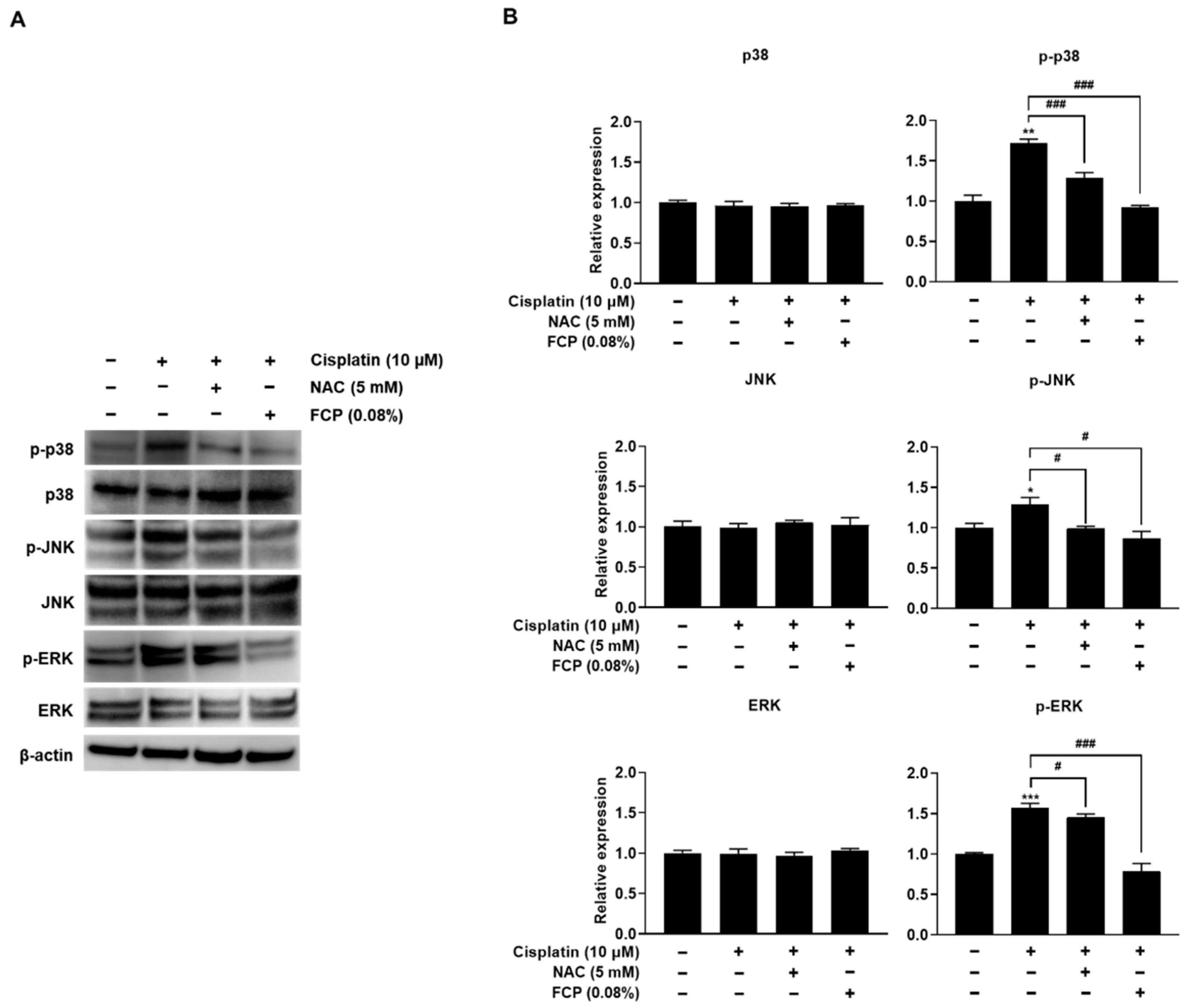 Marinedrugs 20 00232 g010 Marinedrugs 20 00232 g010