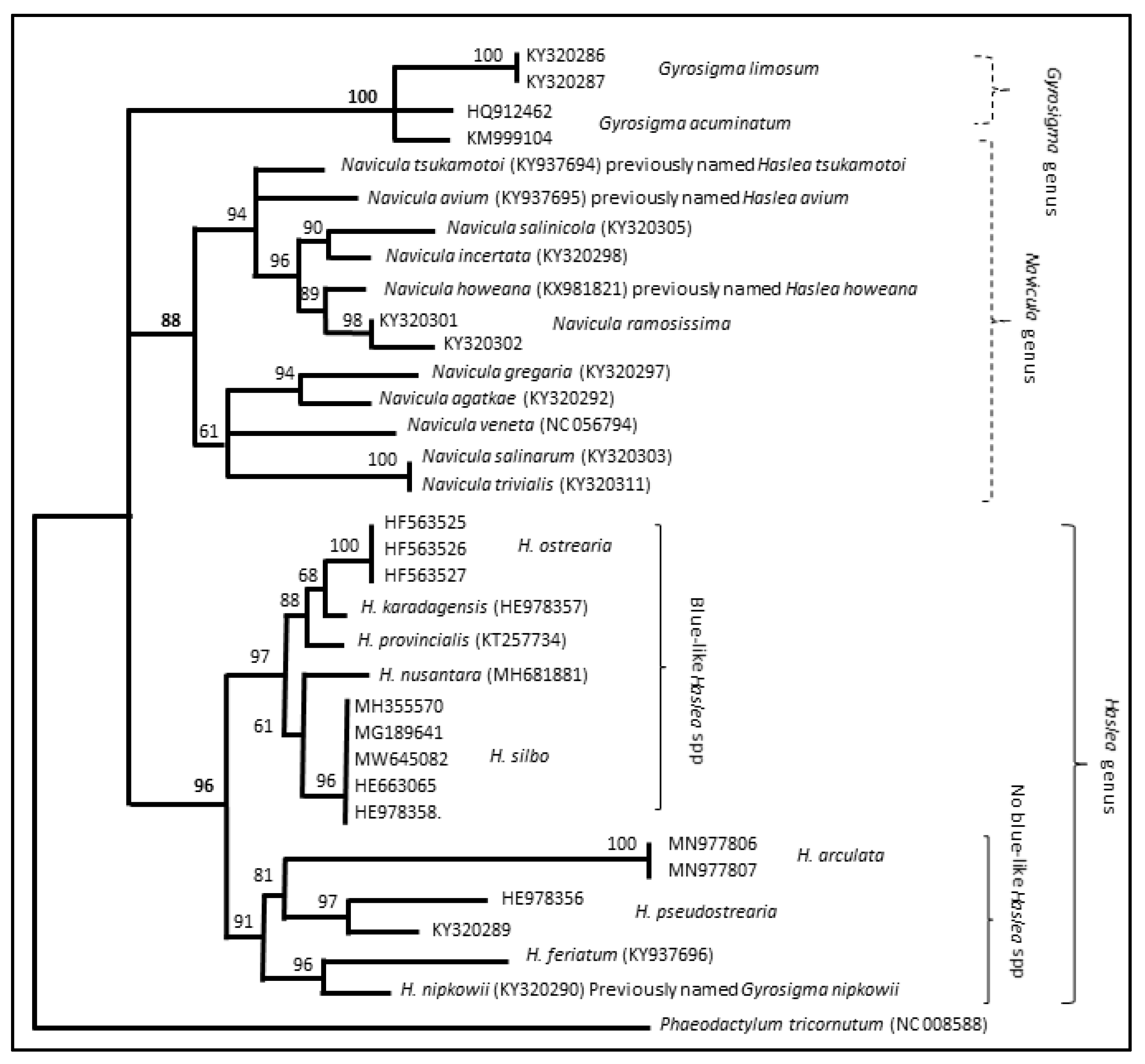 Marinedrugs 20 00234 g002