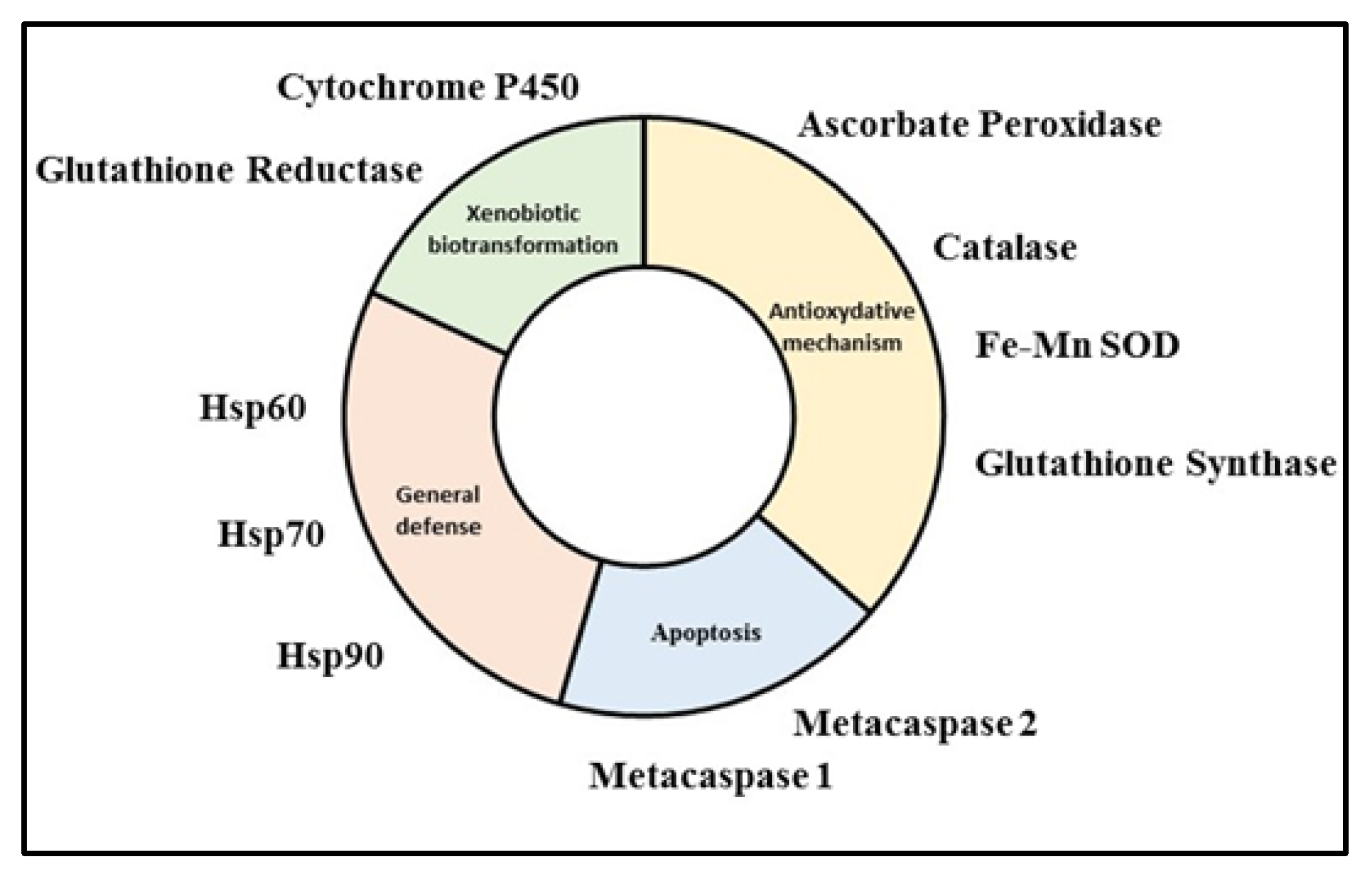 Marinedrugs 20 00234 g008