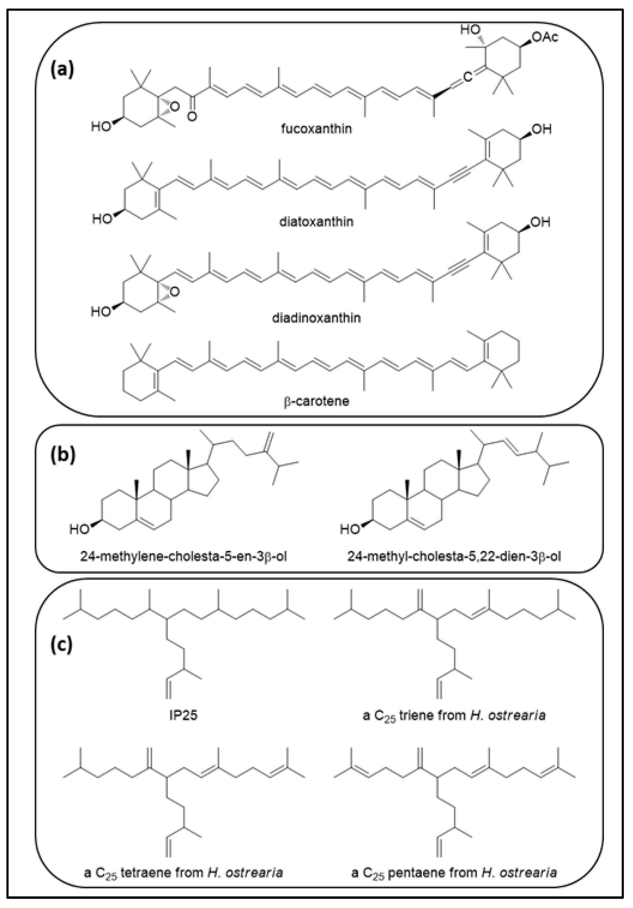 Marinedrugs 20 00234 g009