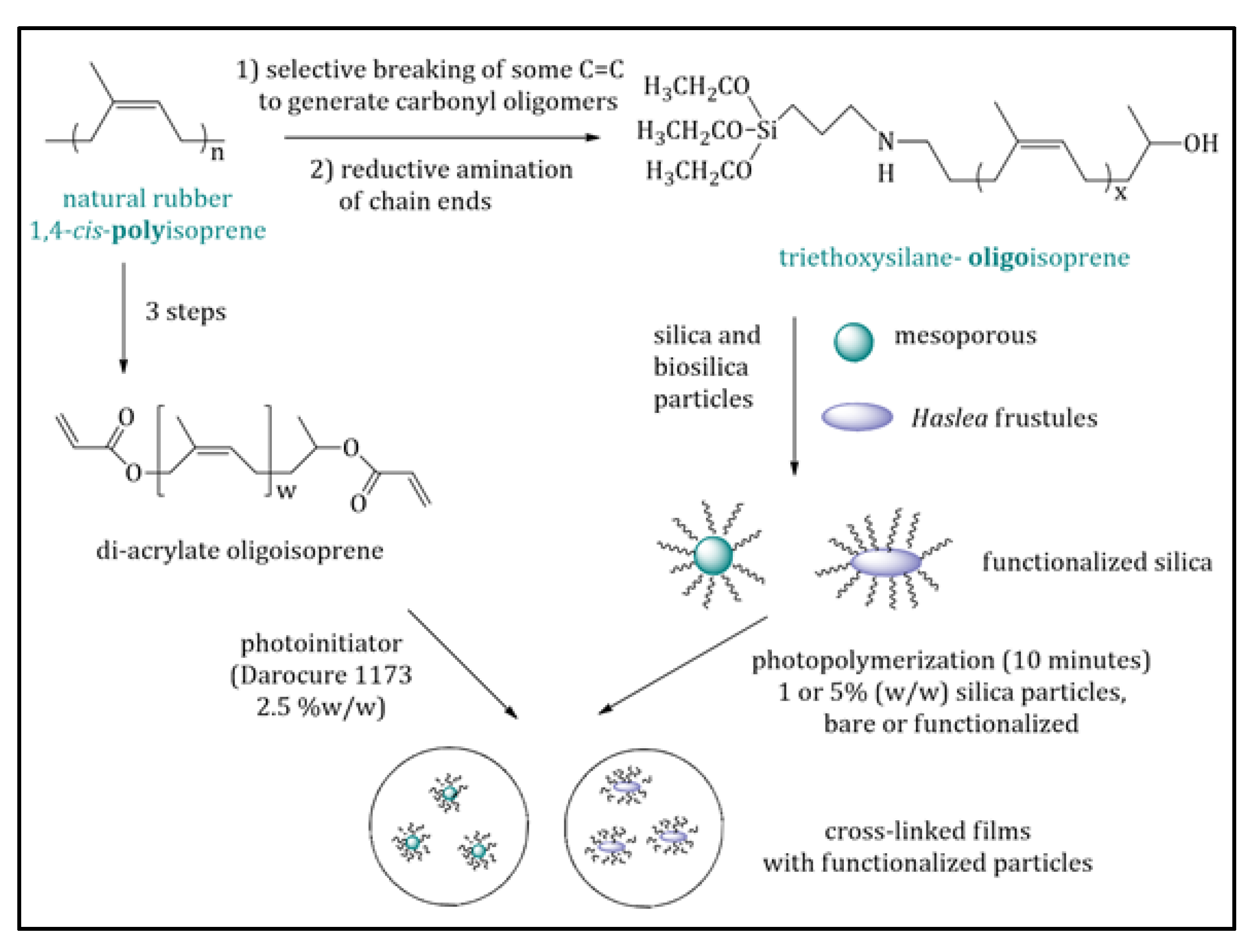 Marinedrugs 20 00234 g011