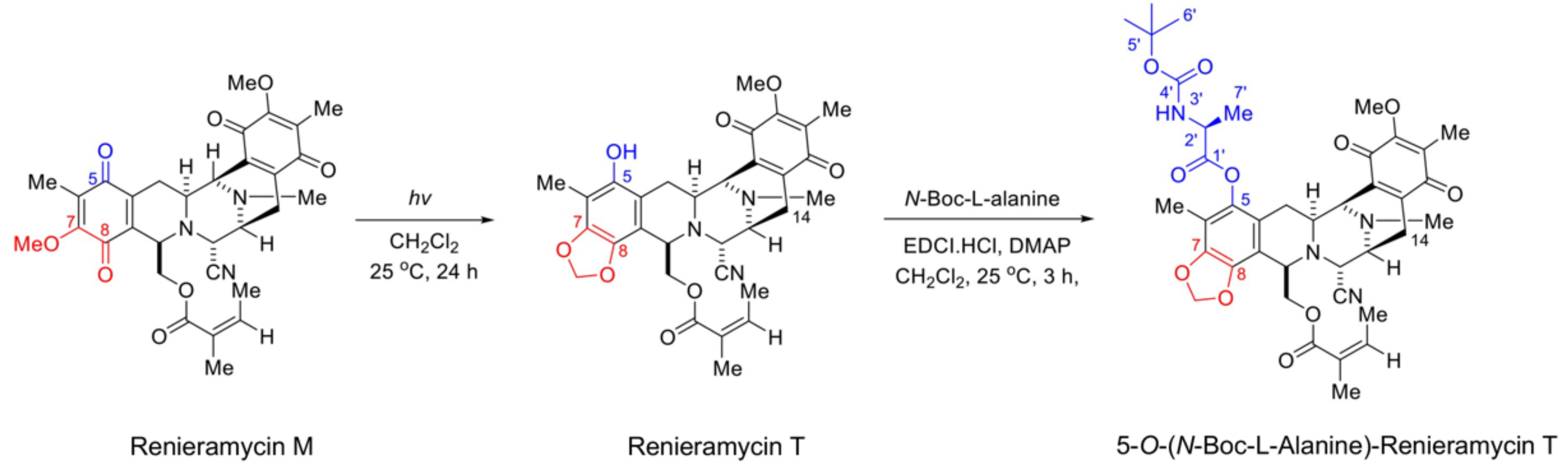 Marinedrugs 20 00235 g001 550