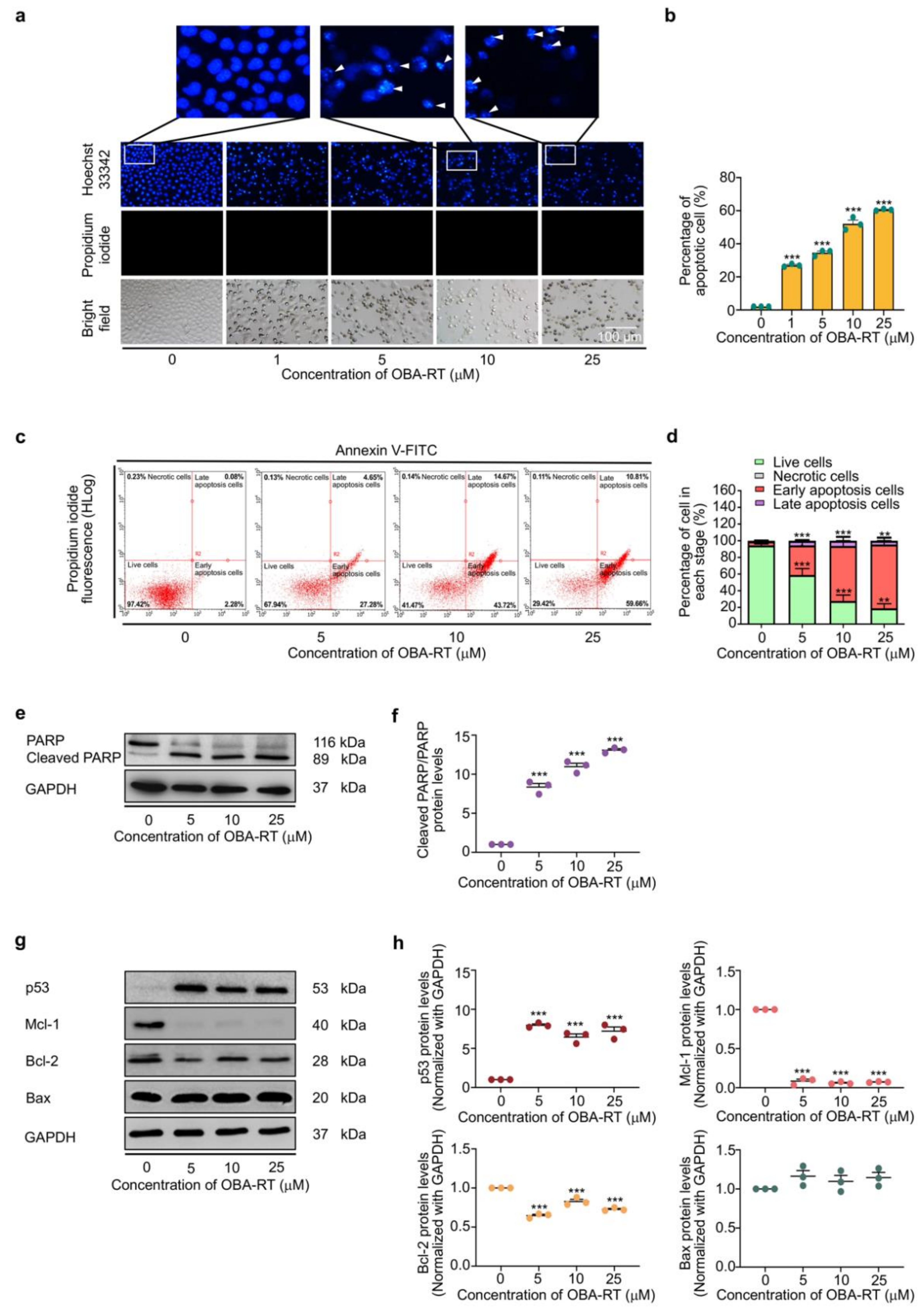 Marinedrugs 20 00235 g003 550
