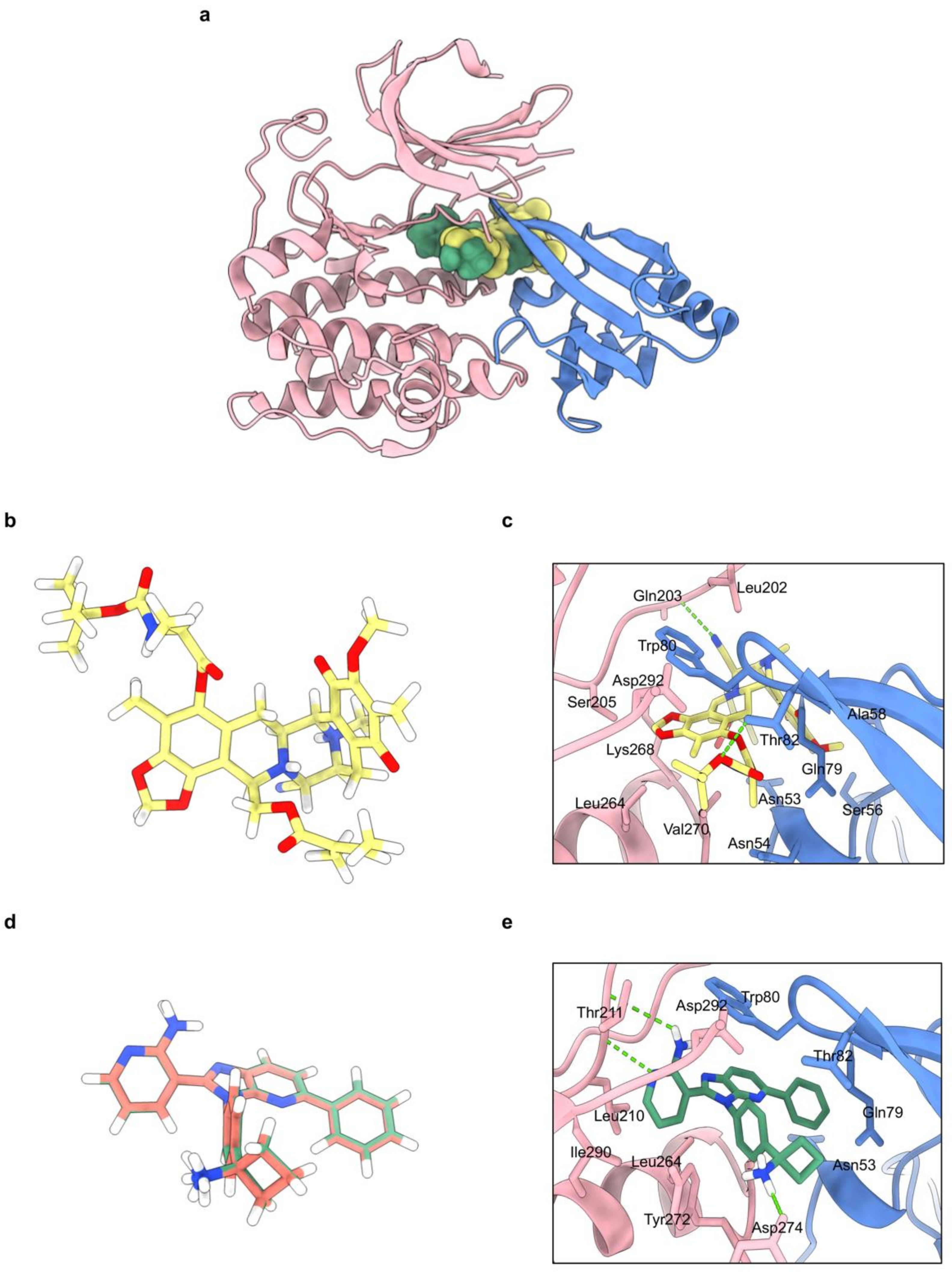 Marinedrugs 20 00235 g006 550