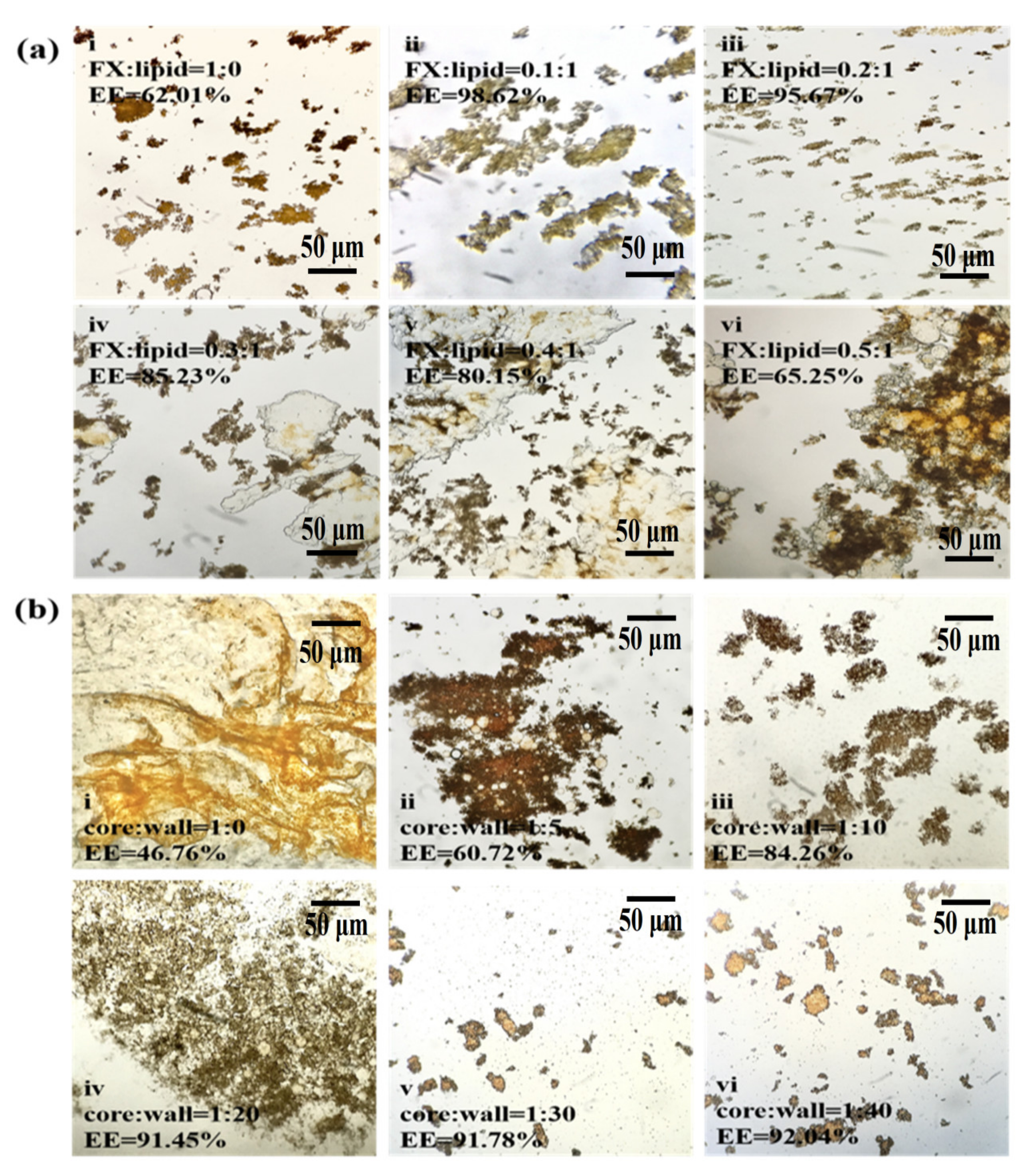 Marinedrugs 20 00237 g001 Marinedrugs 20 00237 g001