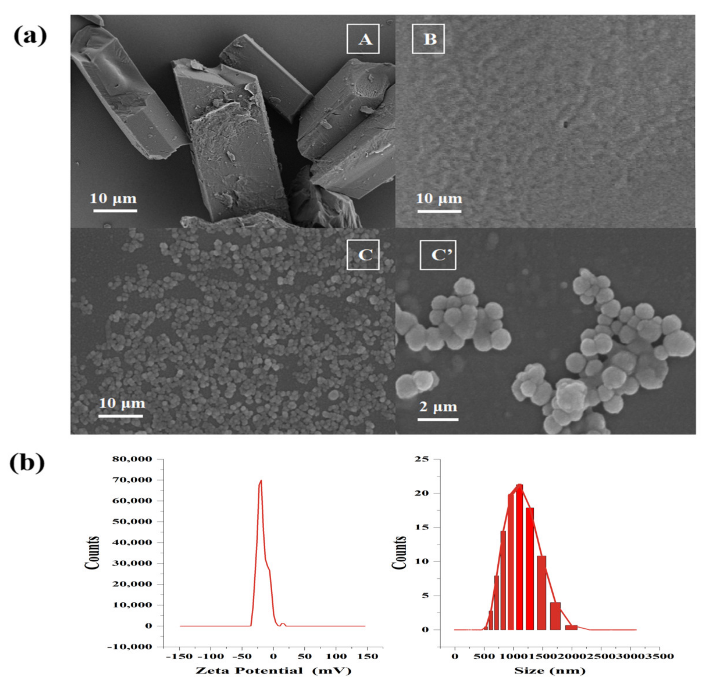 Marinedrugs 20 00237 g004 Marinedrugs 20 00237 g004