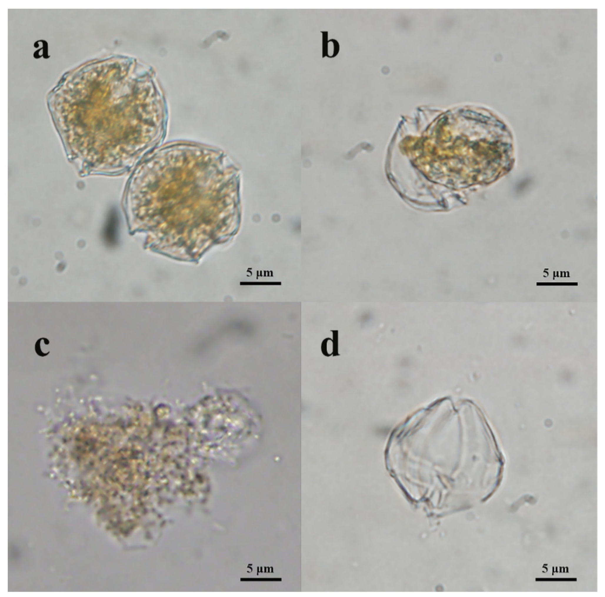 Marinedrugs 20 00239 g004