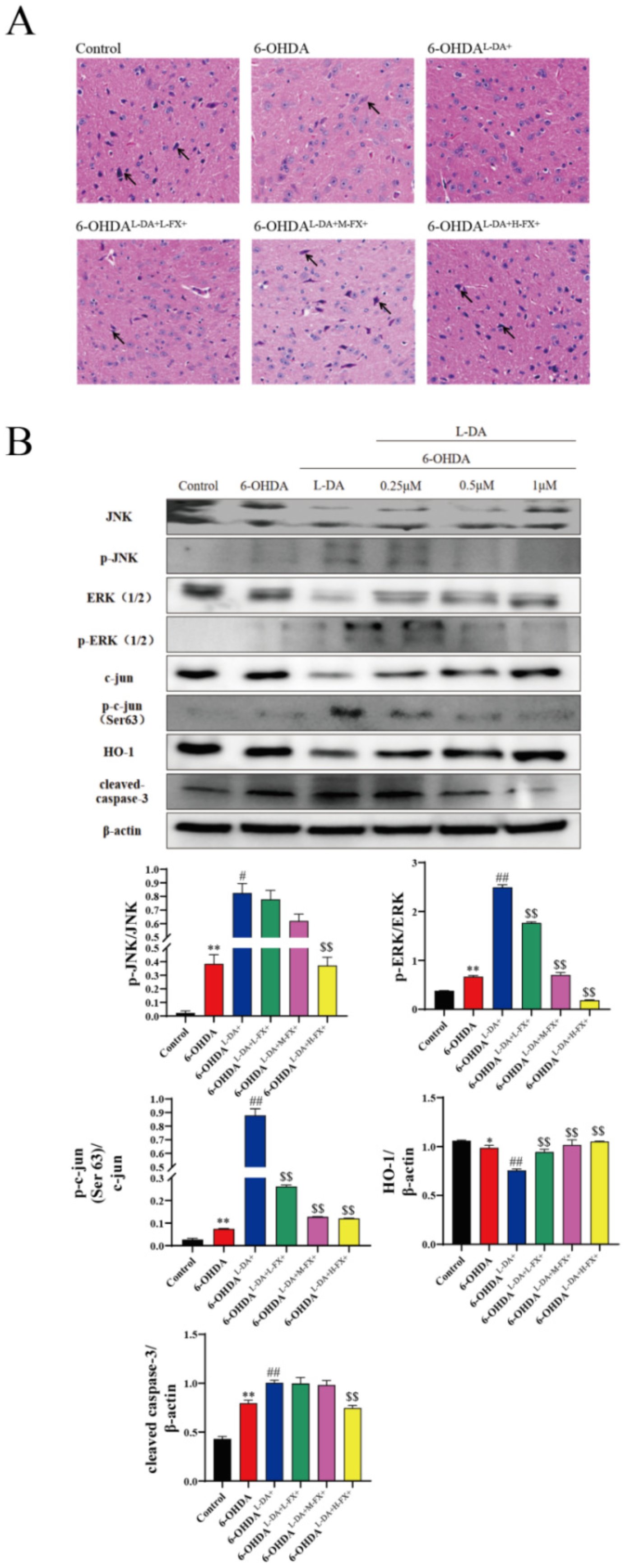 Marinedrugs 20 00245 g008 Marinedrugs 20 00245 g008