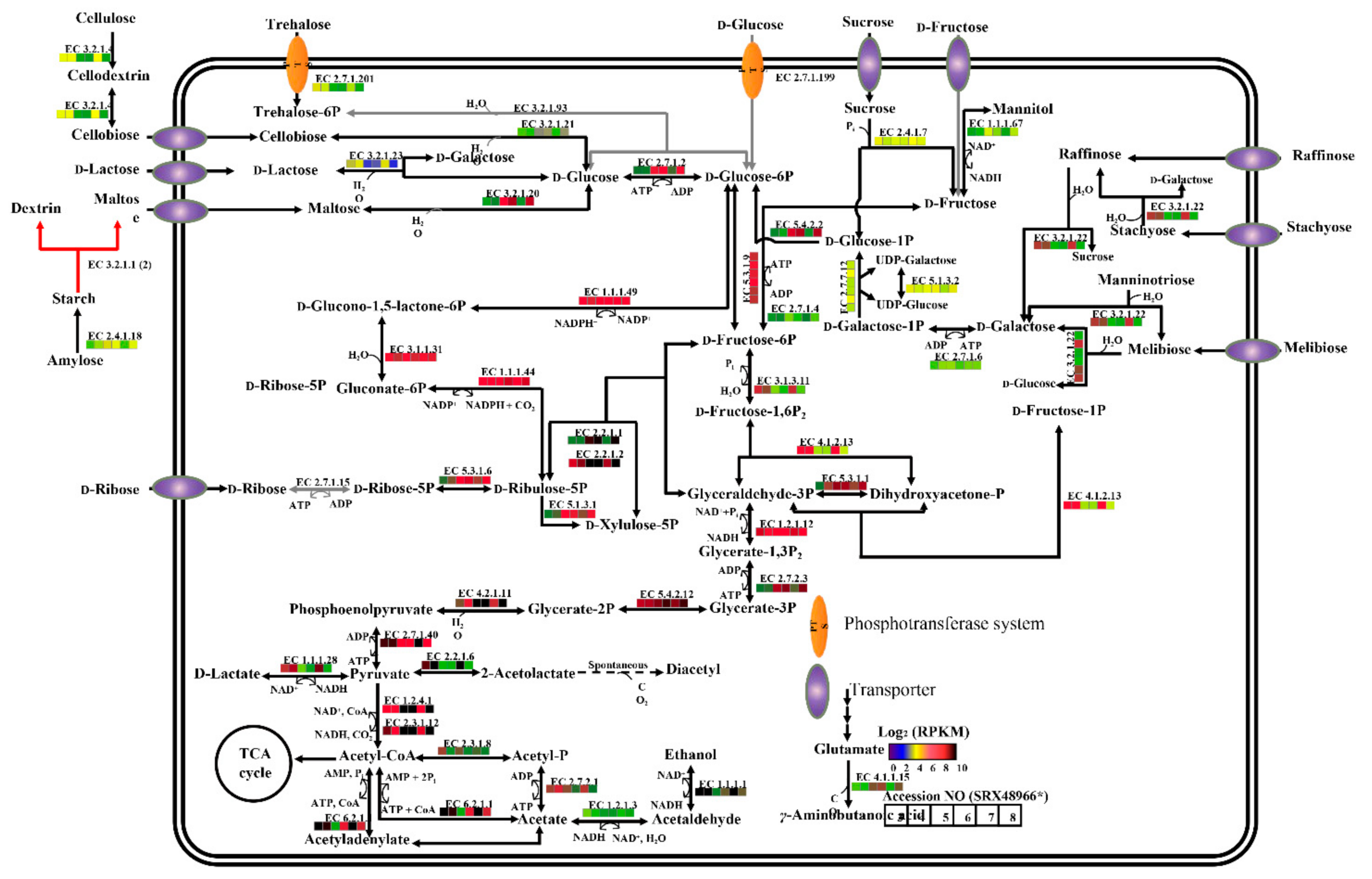 Marinedrugs 20 00248 g006