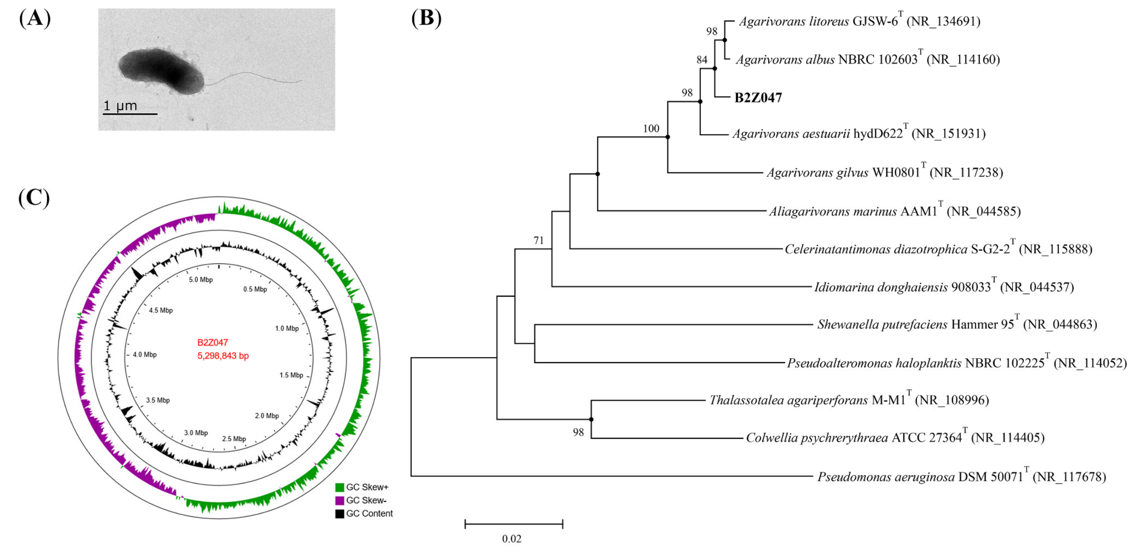 Marinedrugs 20 00254 g003 550
