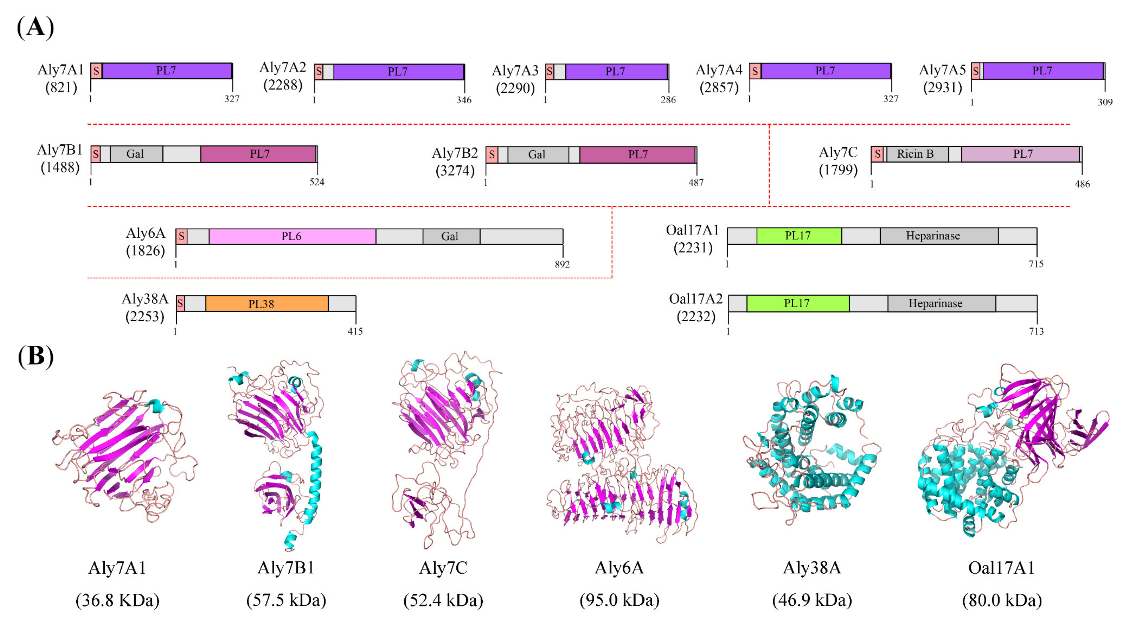 Marinedrugs 20 00254 g004 550