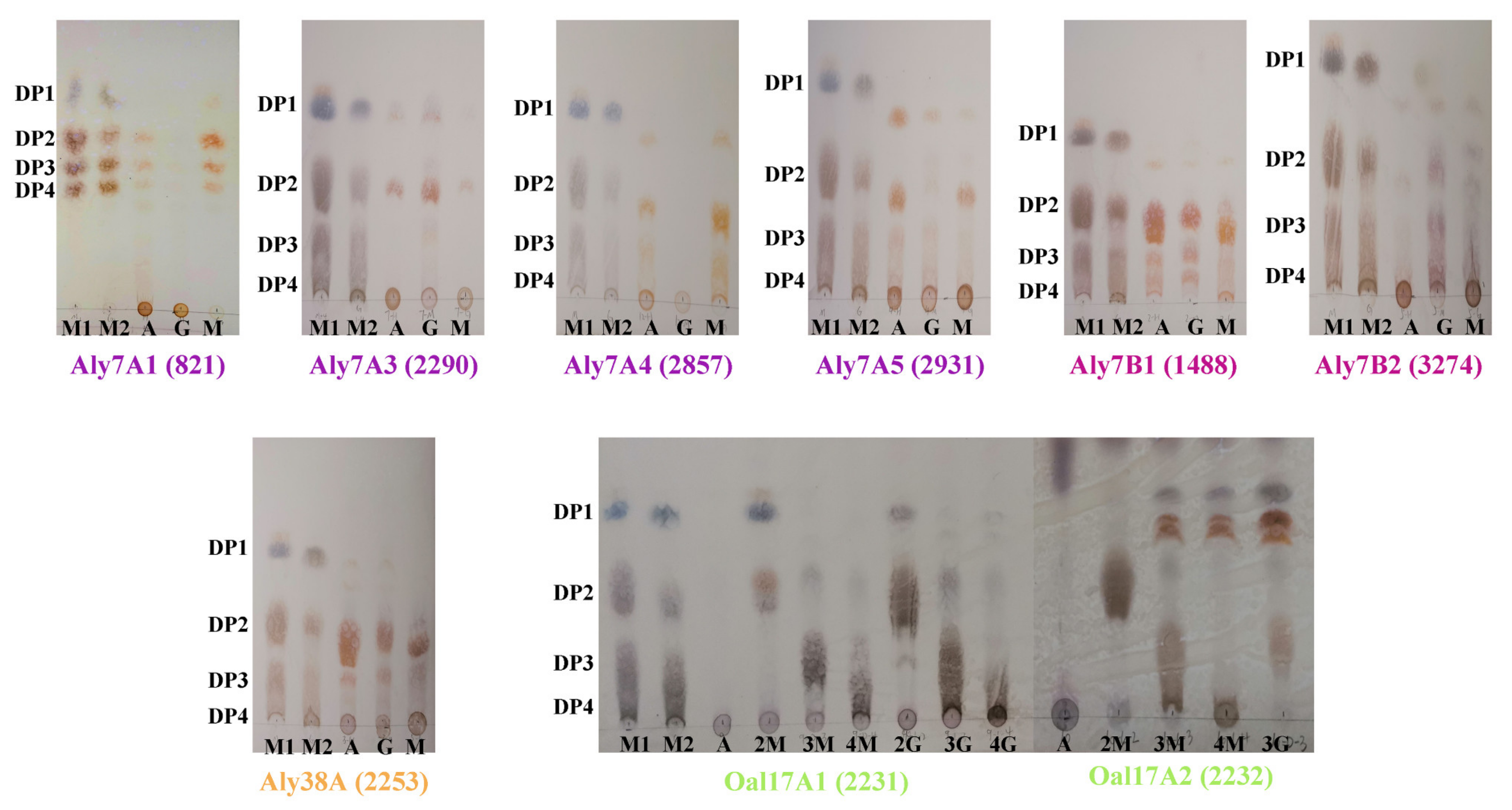 Marinedrugs 20 00254 g005 550