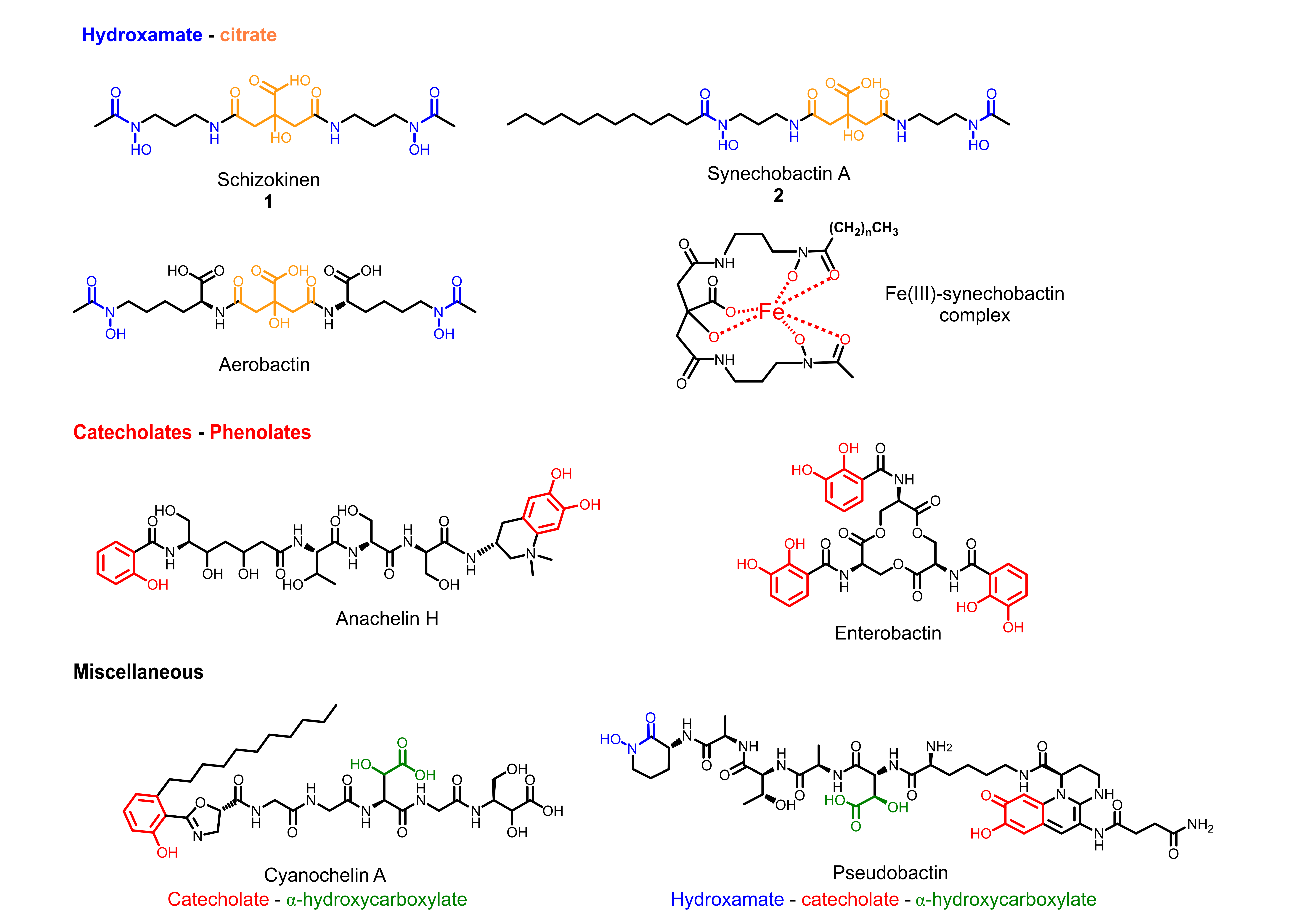 Marinedrugs 20 00256 g001