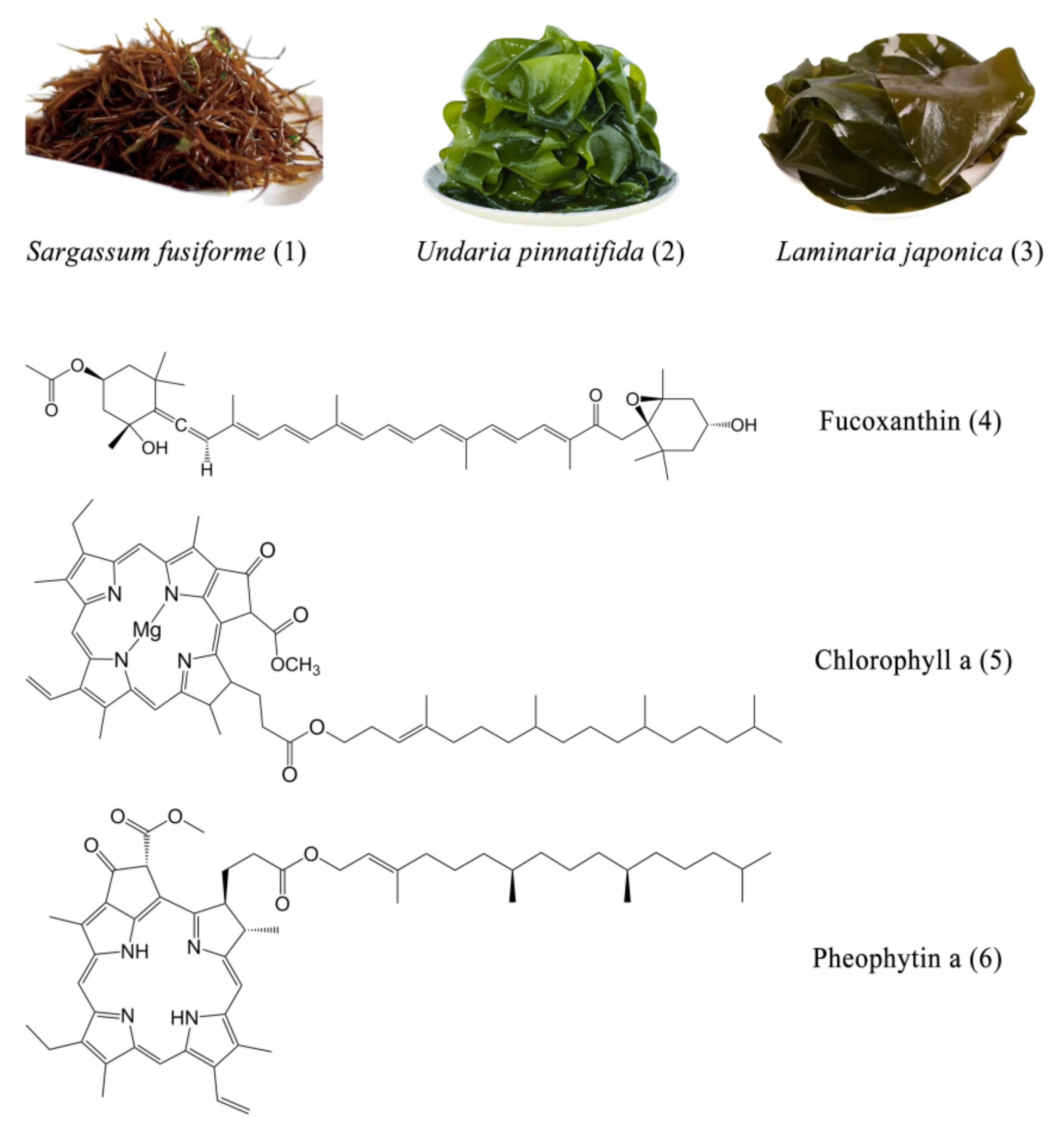 Marinedrugs 20 00257 g001 550